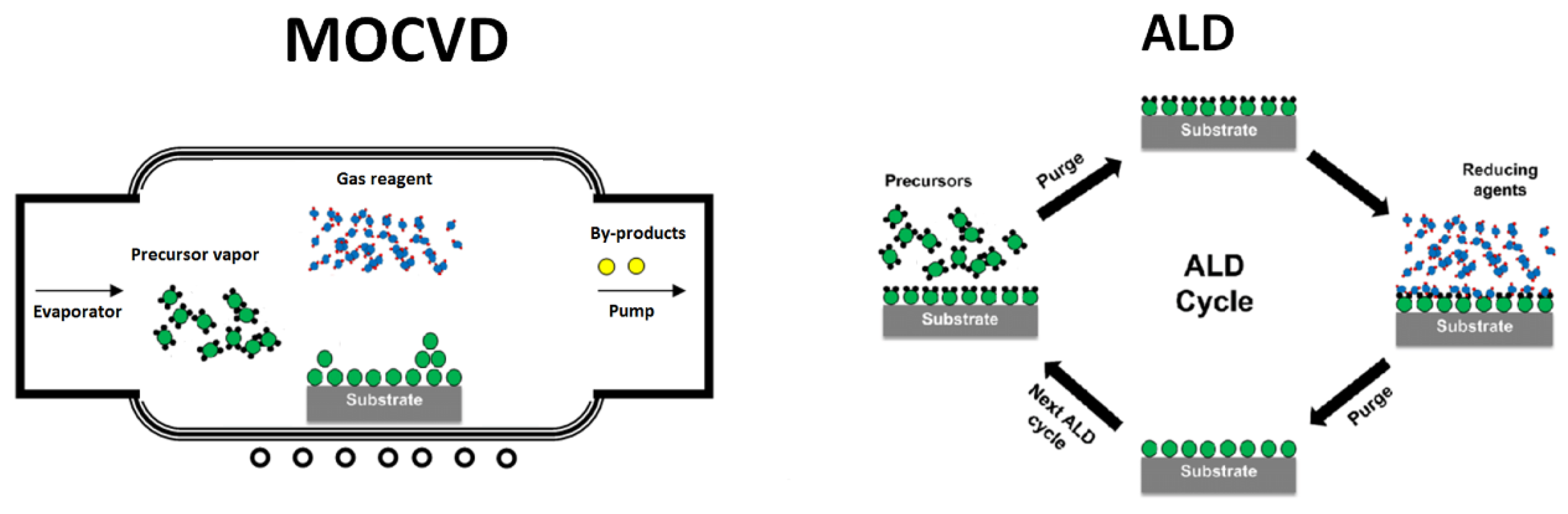 Preprints 164613 g005