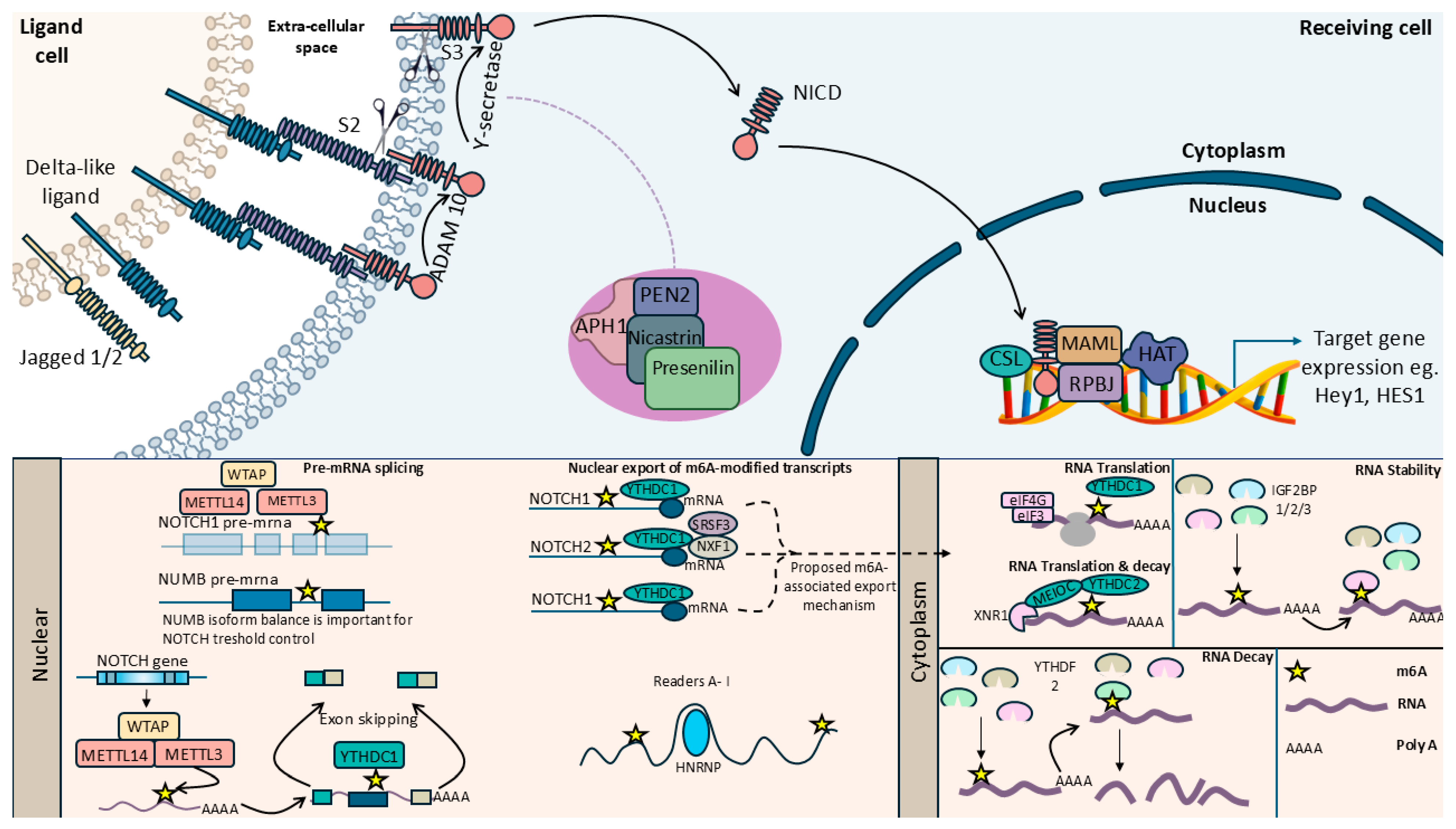 Preprints 217413 g001
