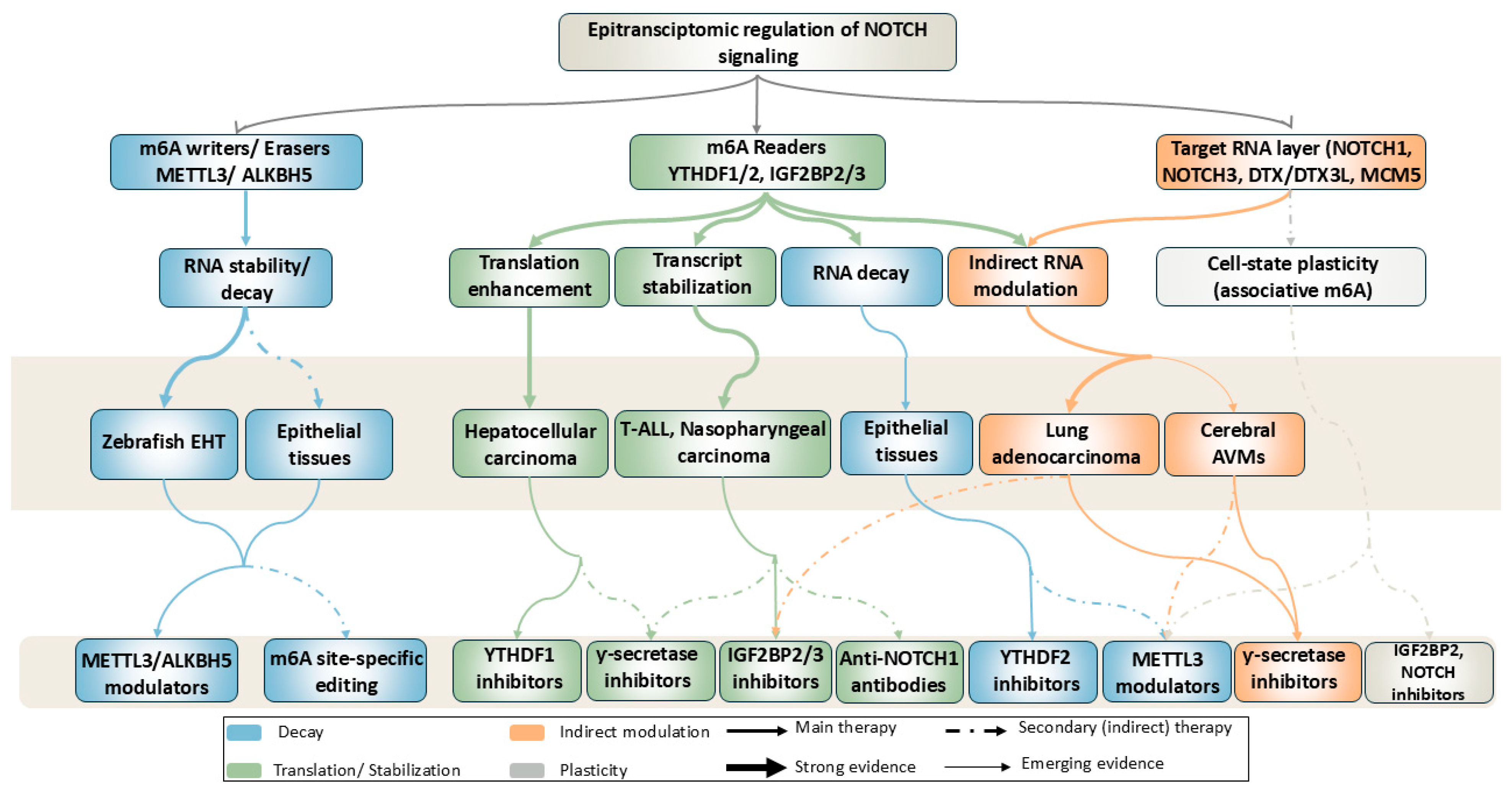 Preprints 217413 g002