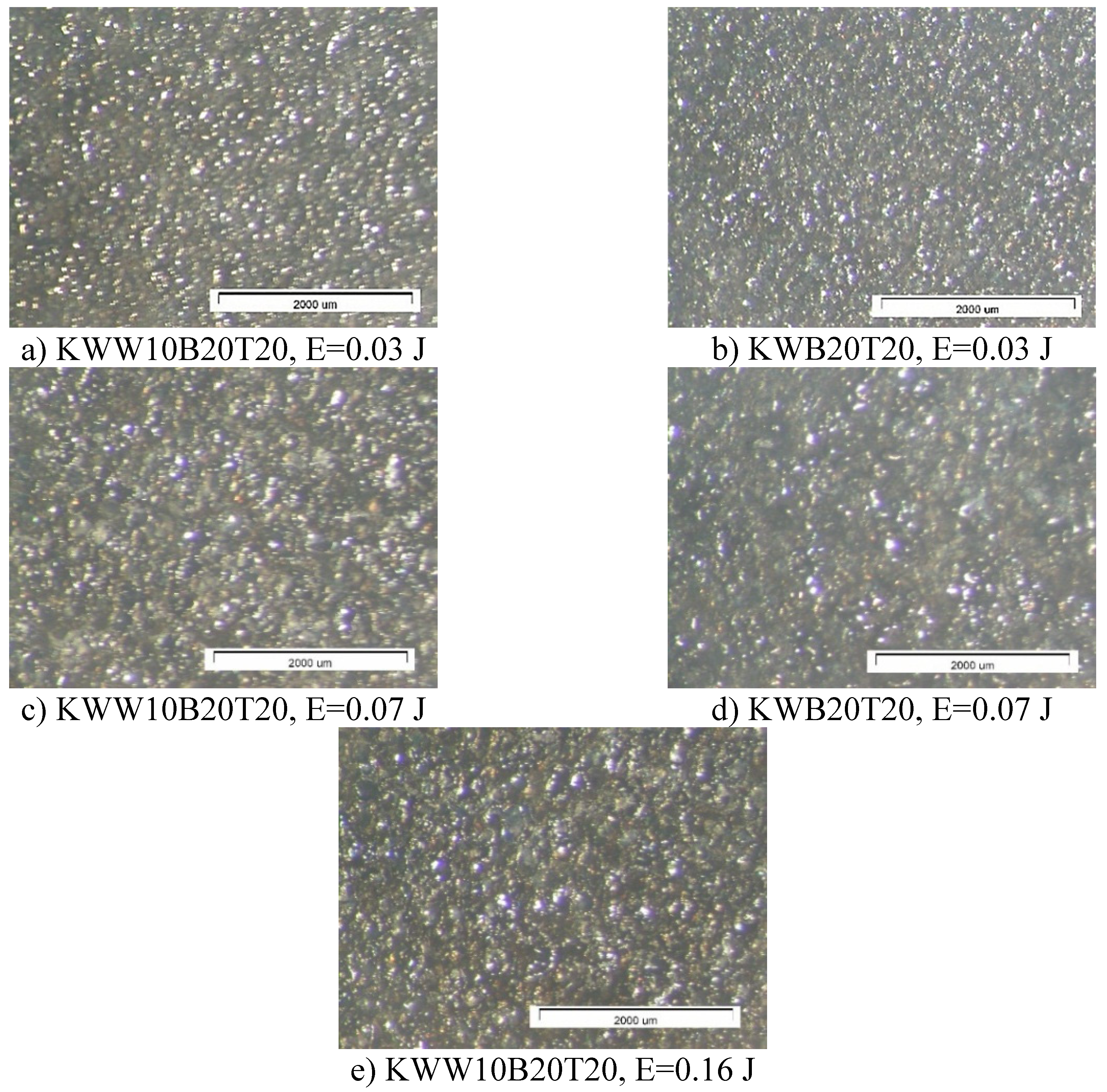 Preprints 155914 g005