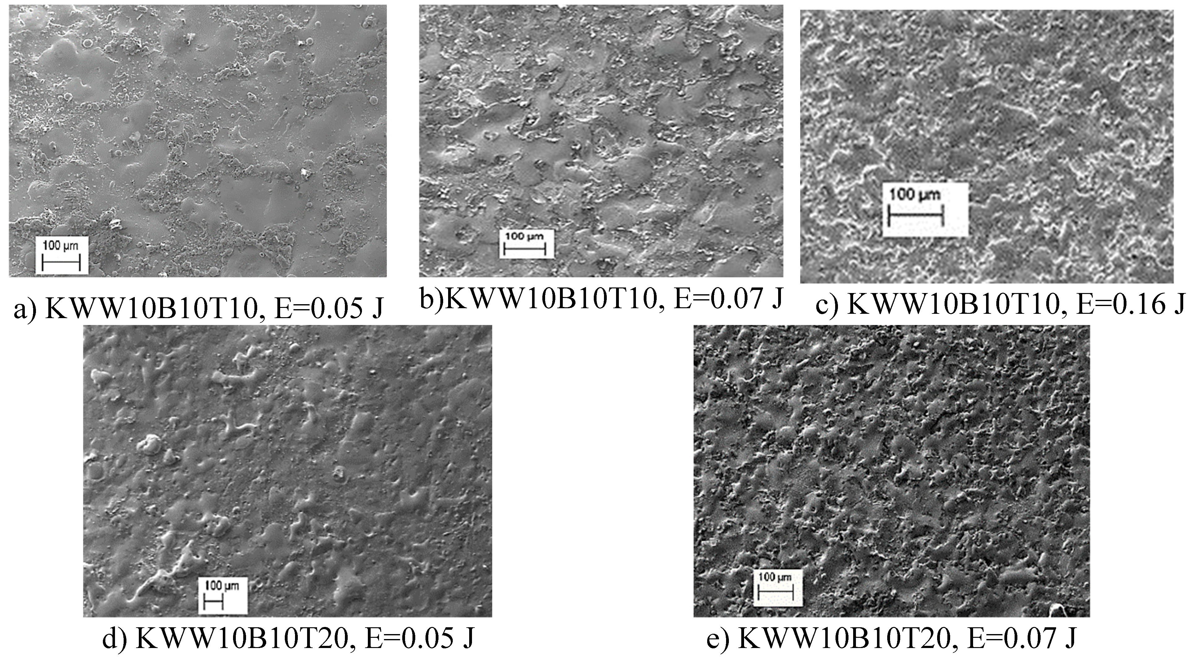 Preprints 155914 g006