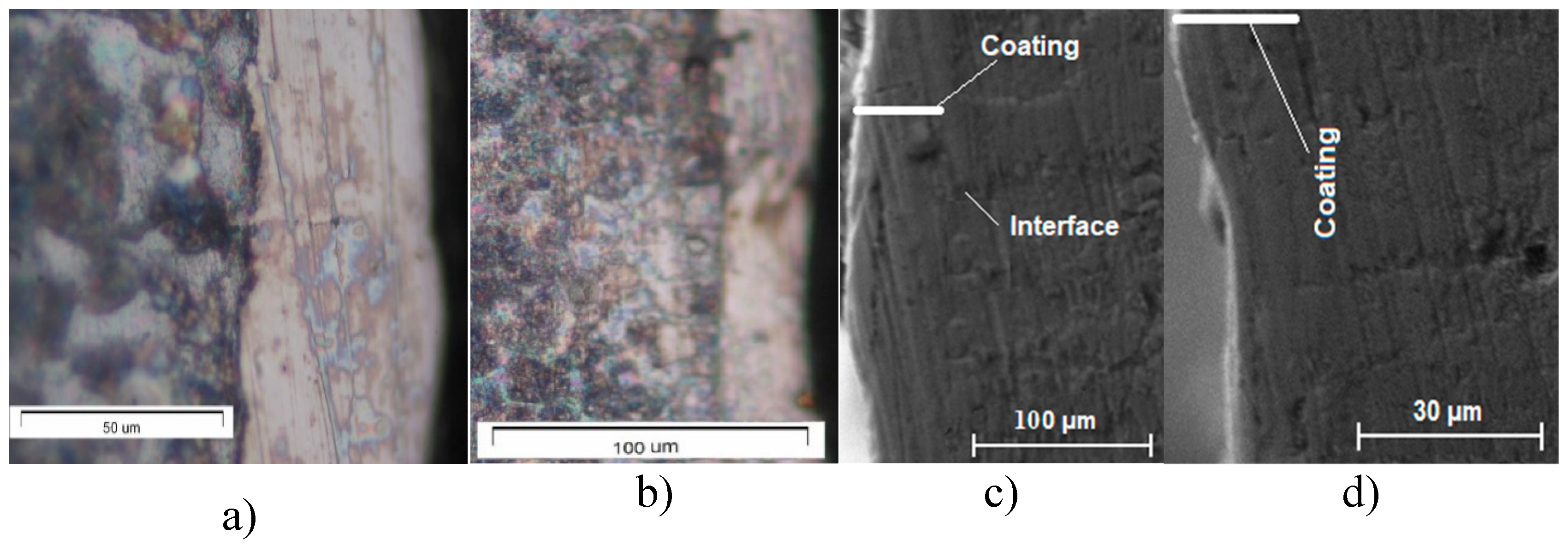 Preprints 155914 g008