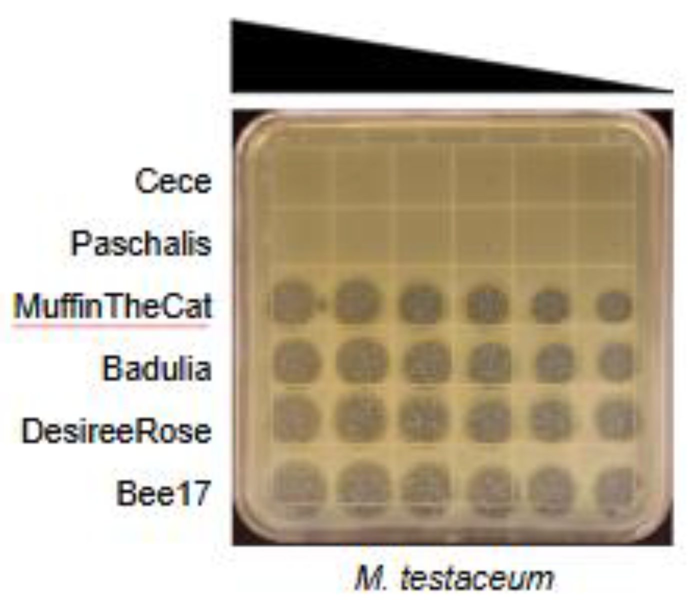 Preprints 143321 g001a