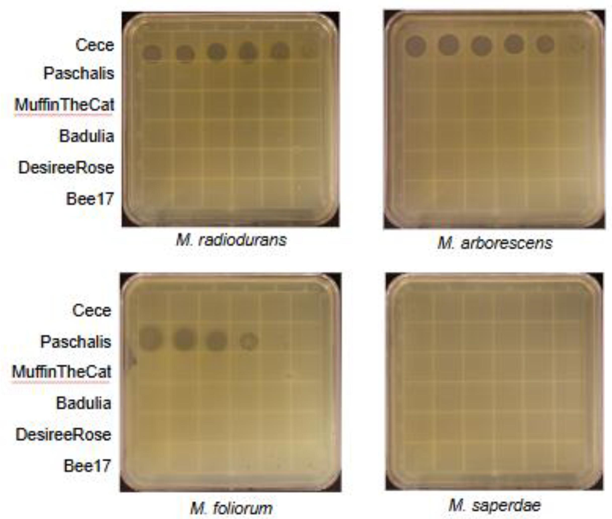Preprints 143321 g001b