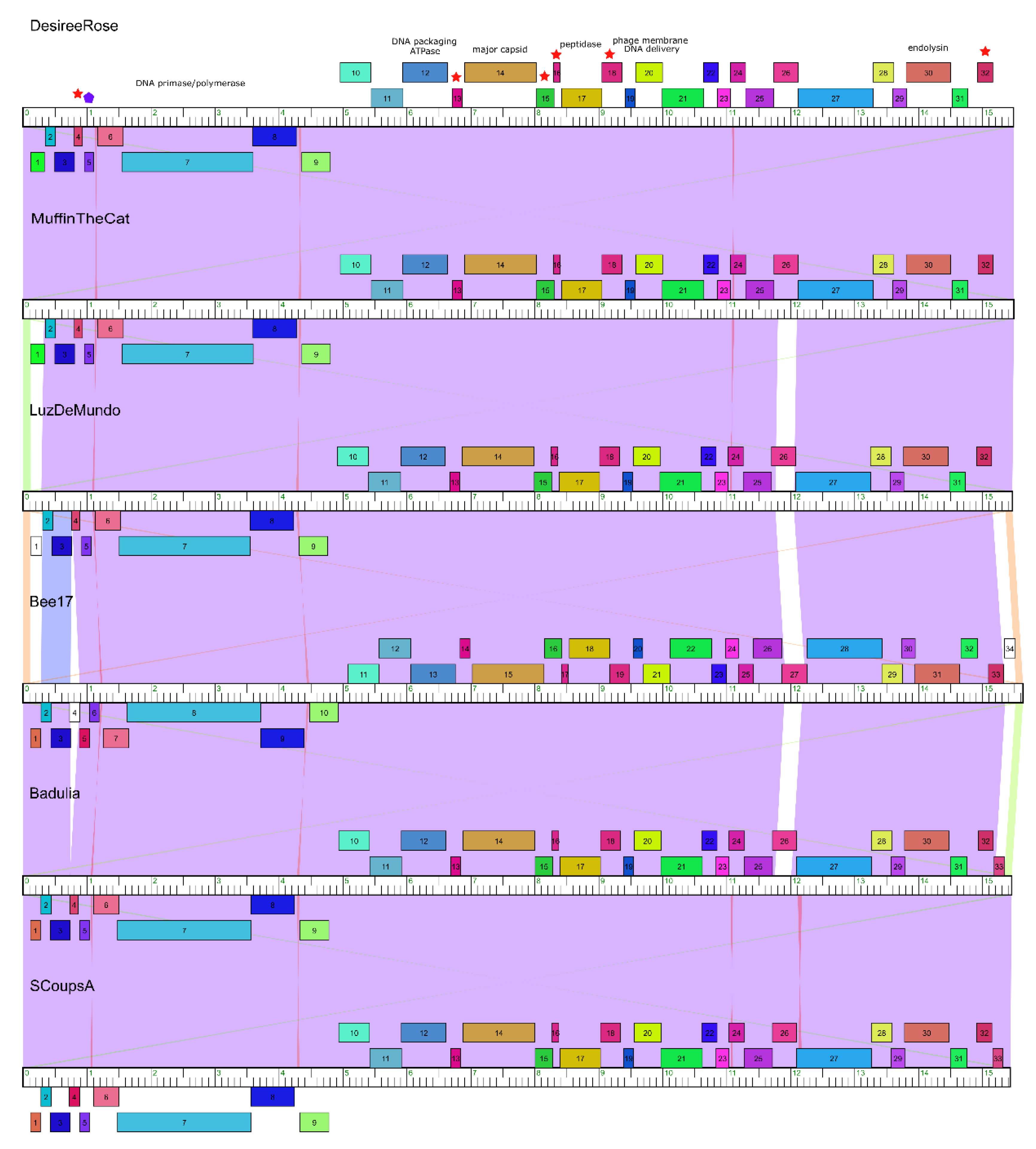 Preprints 143321 g003