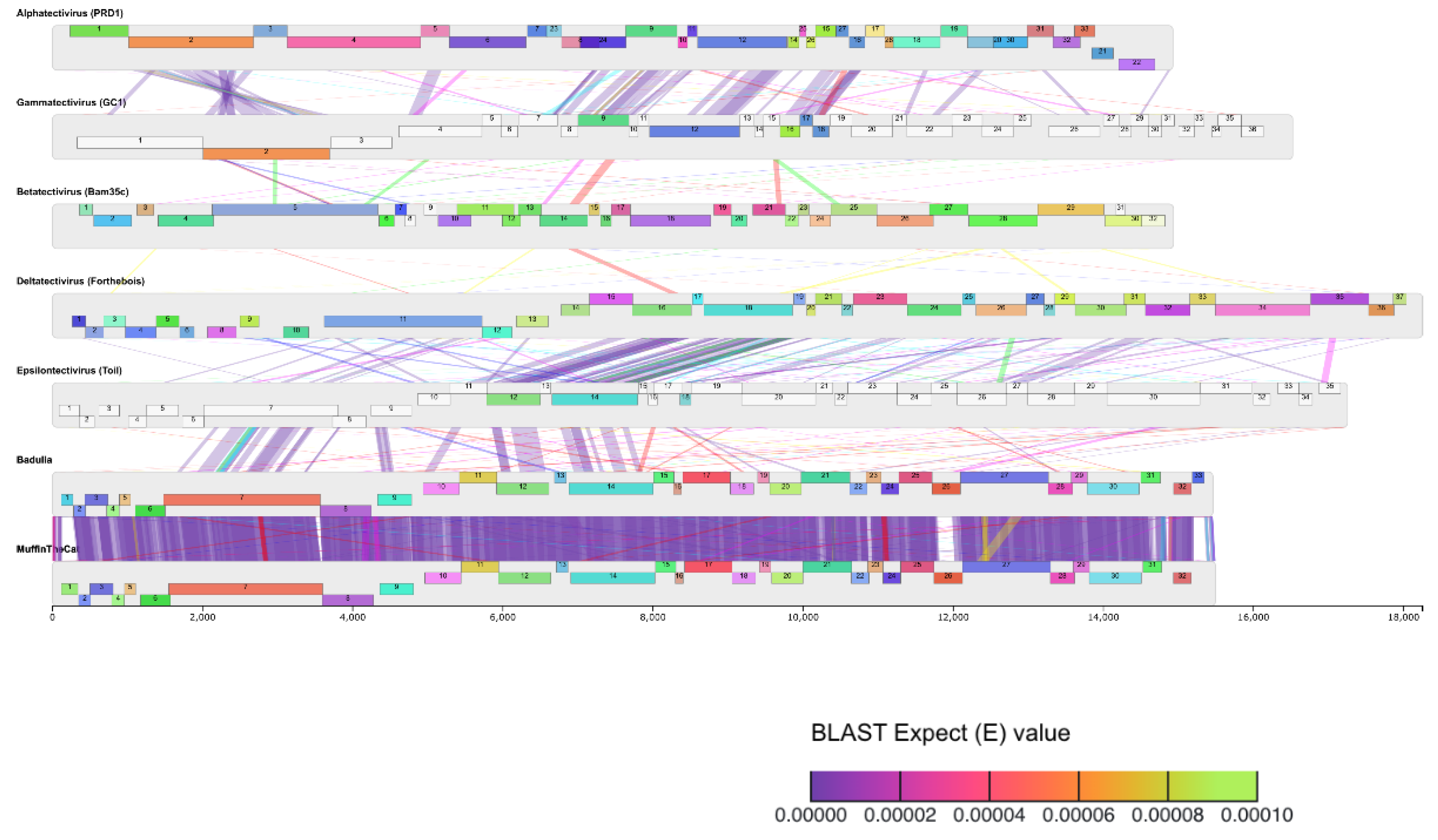 Preprints 143321 g004