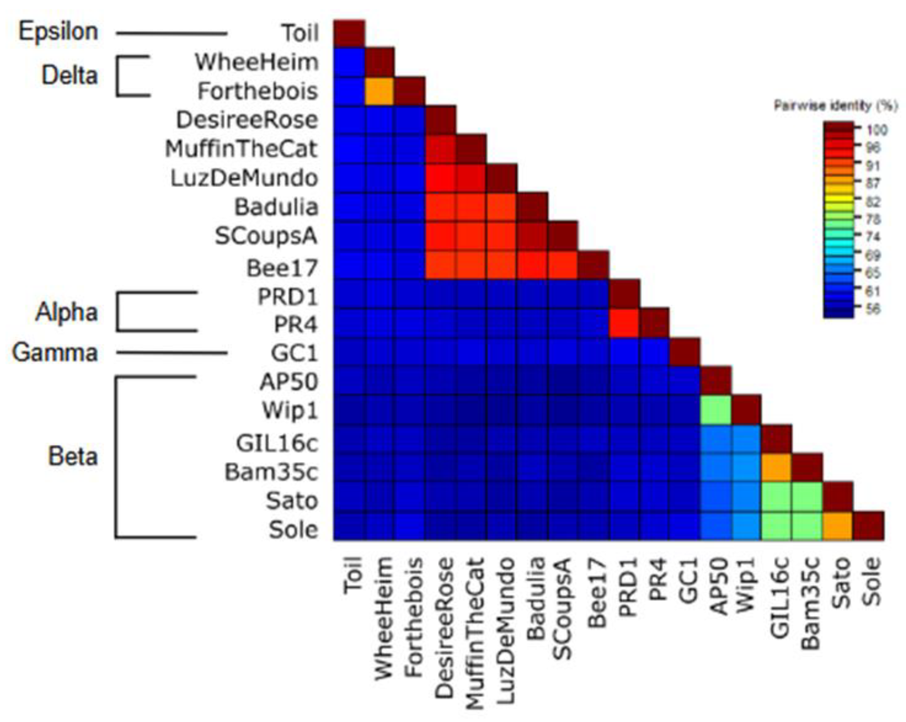 Preprints 143321 g005
