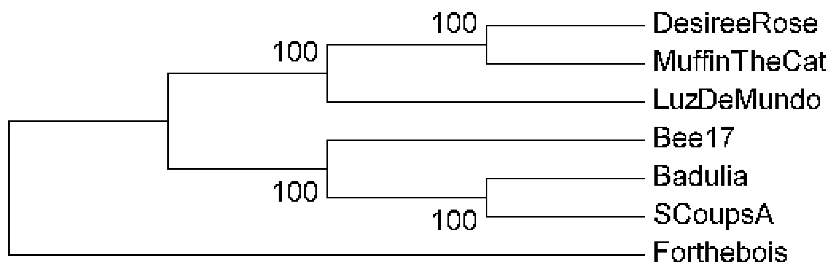 Preprints 143321 g006