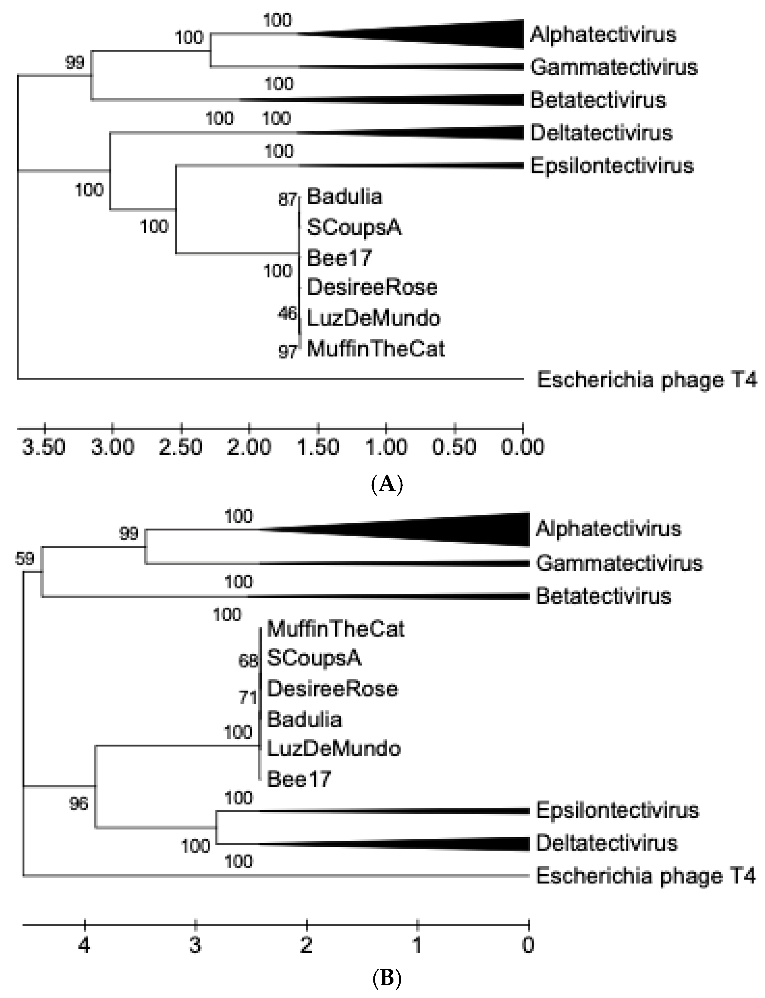 Preprints 143321 g007a