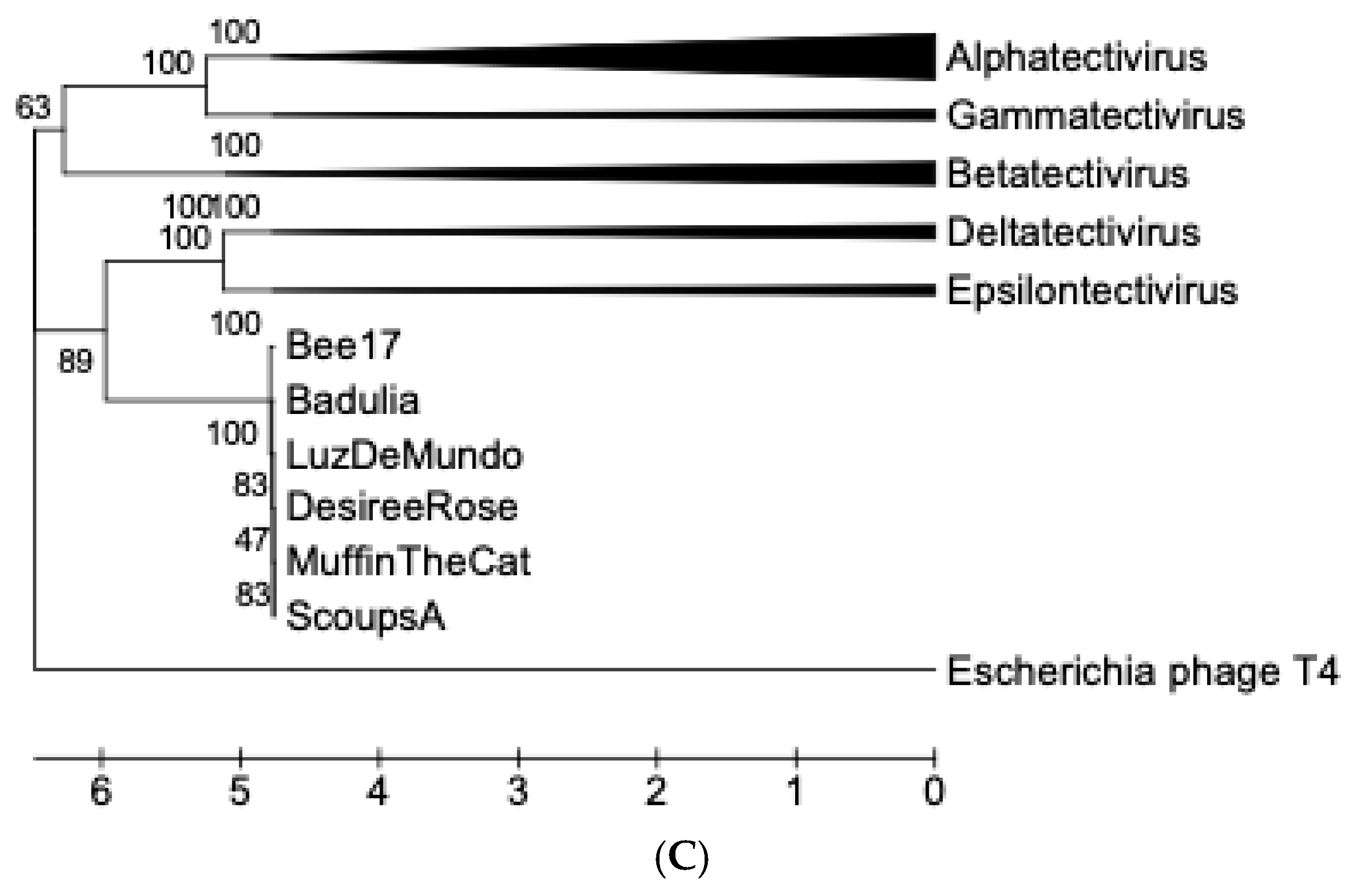 Preprints 143321 g007b