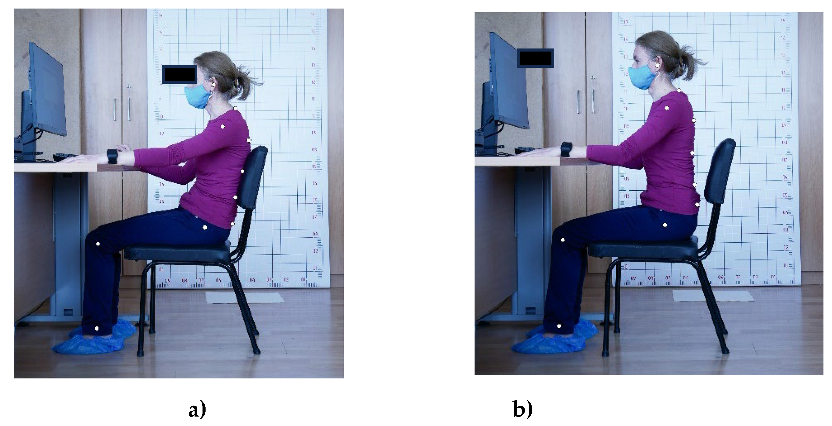 Preprints 106114 g001