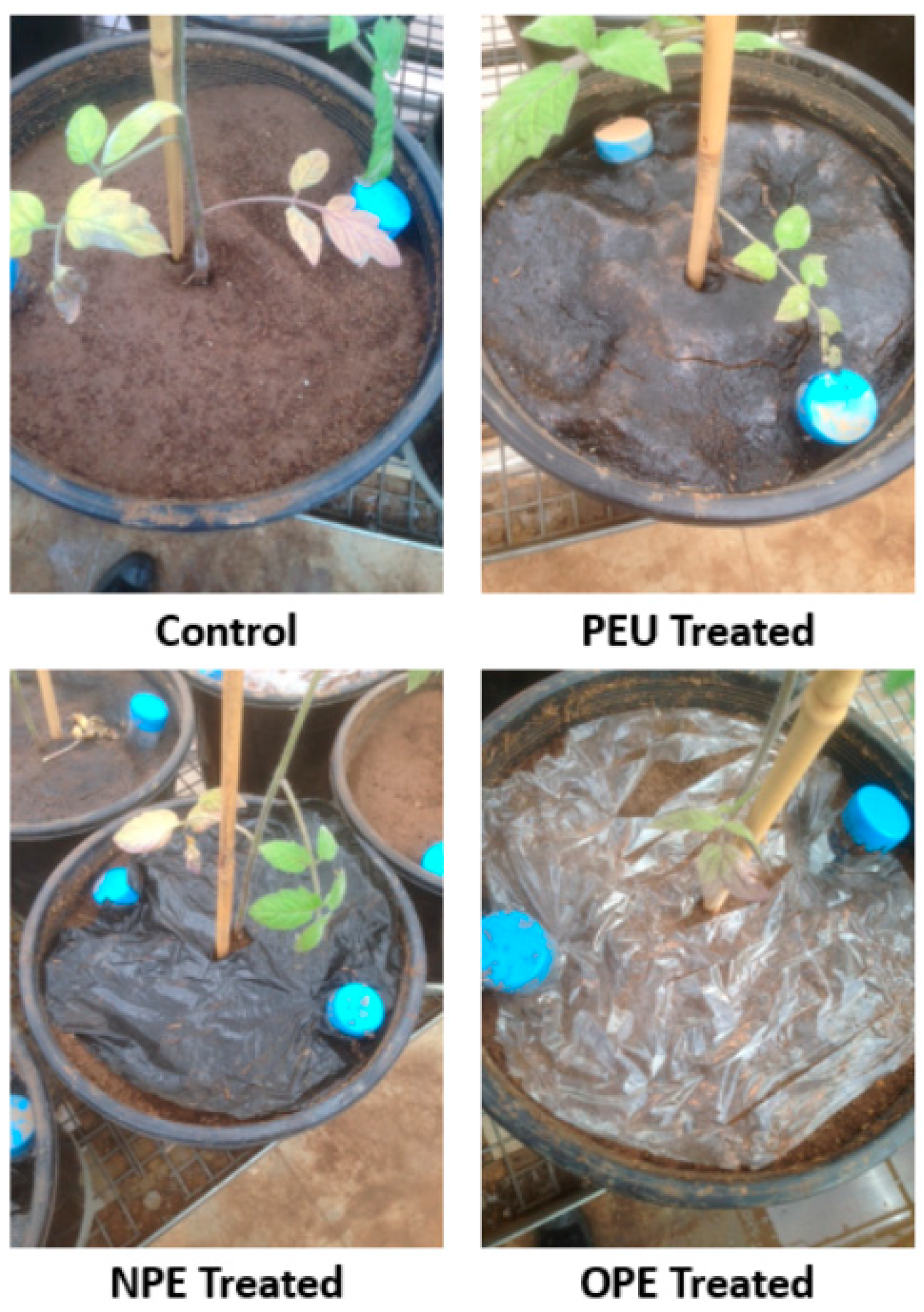 Preprints 140641 g001