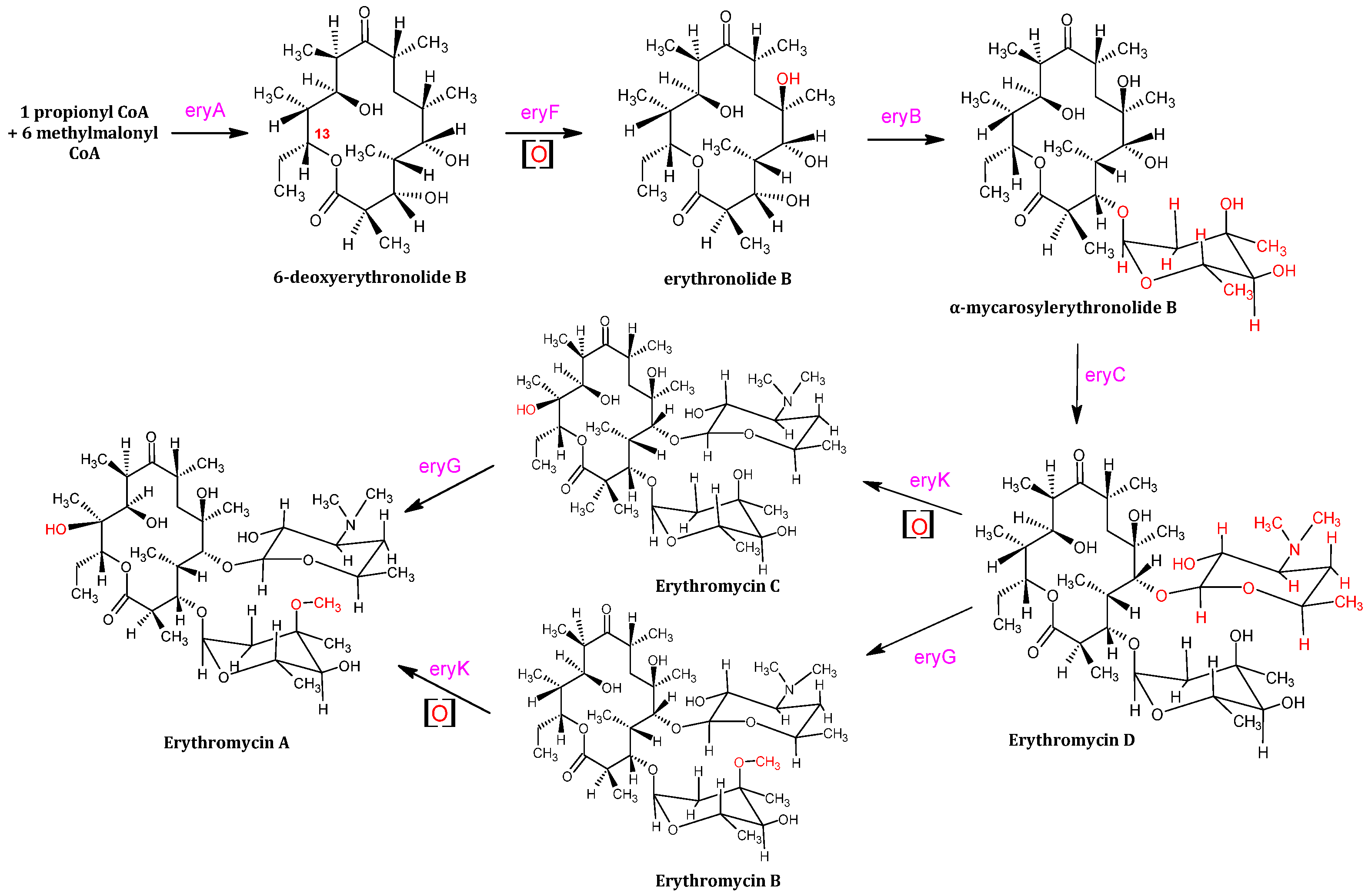 Preprints 112391 g006