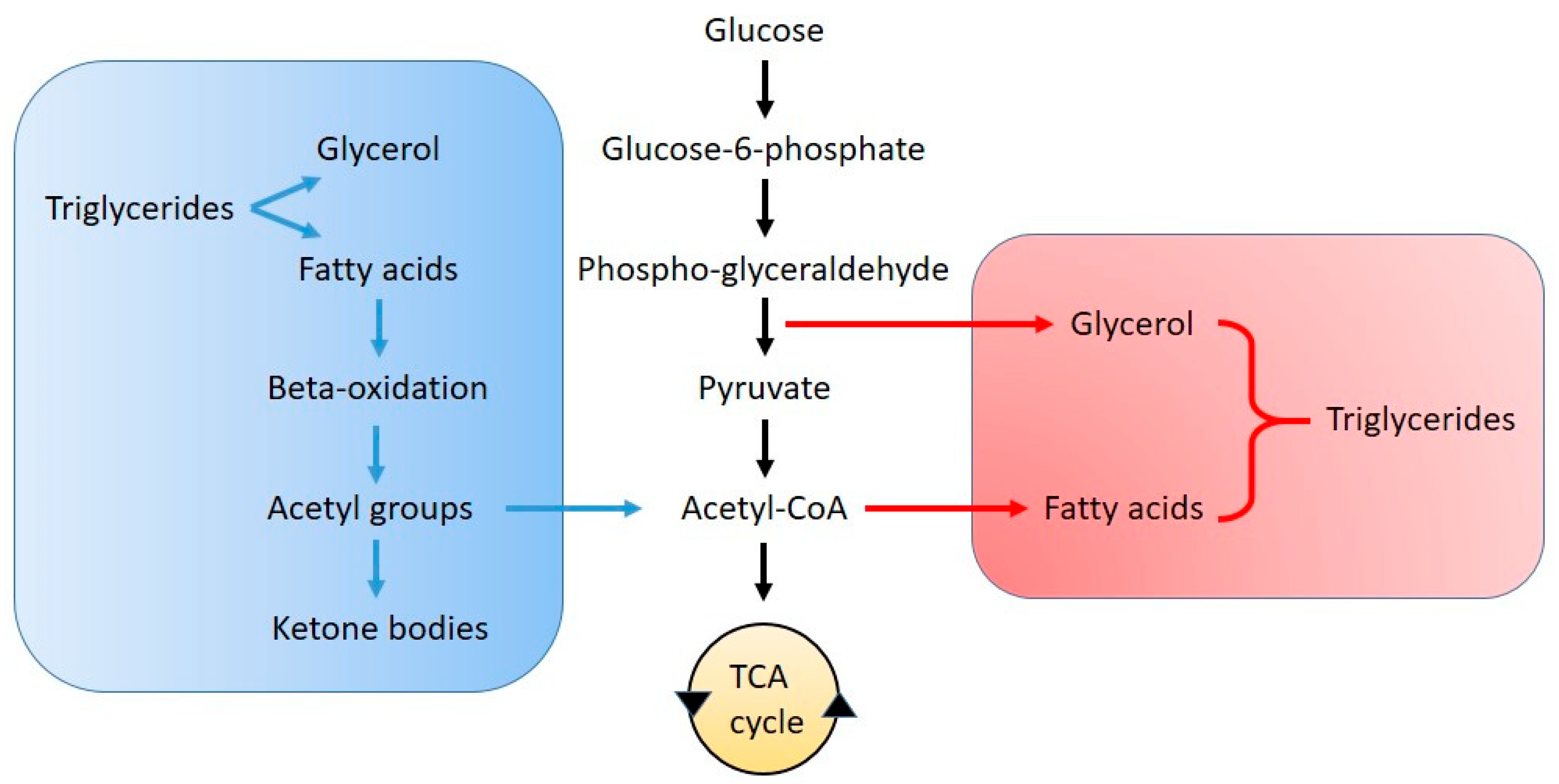 Preprints 162315 g002
