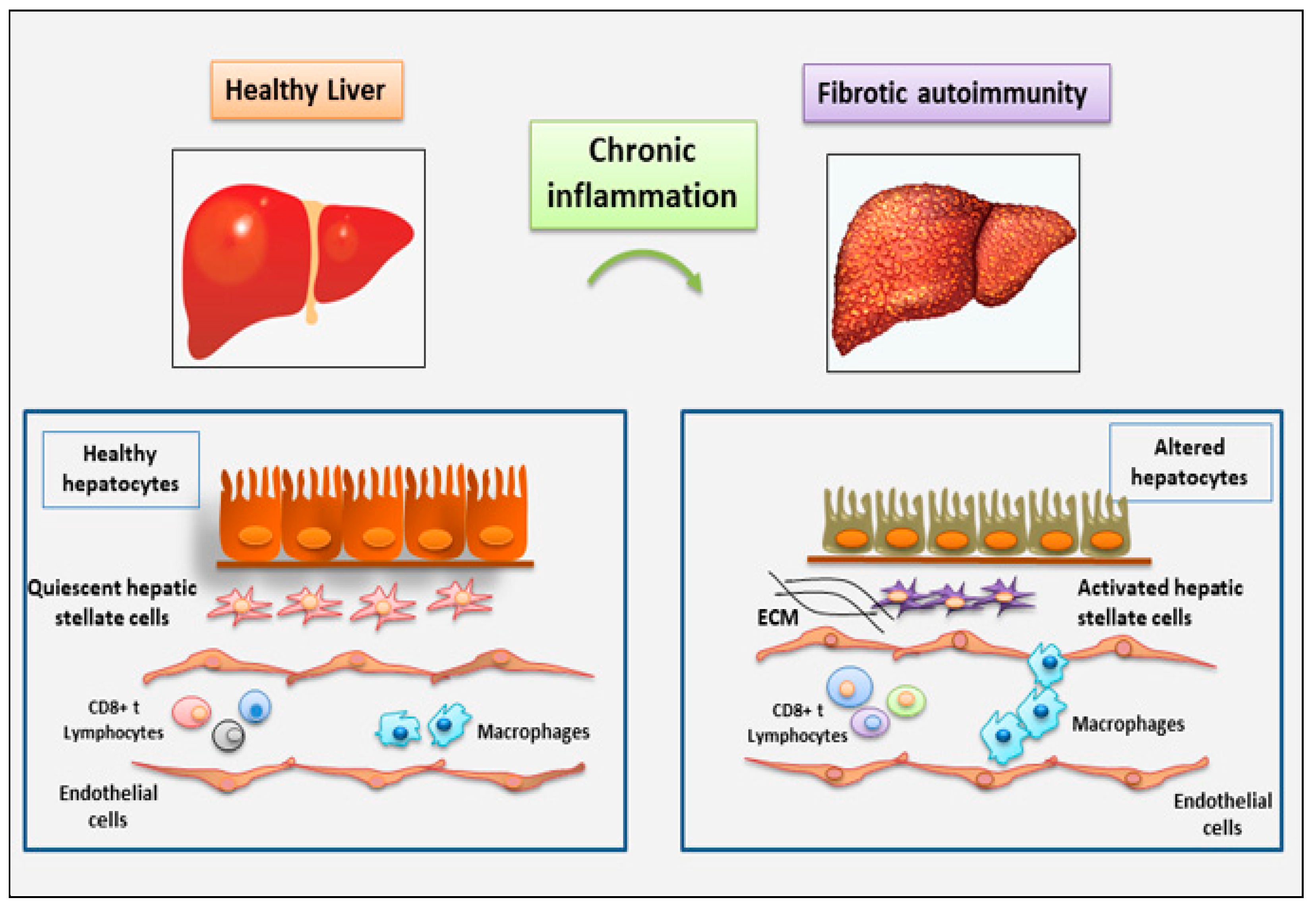 Preprints 72266 g001