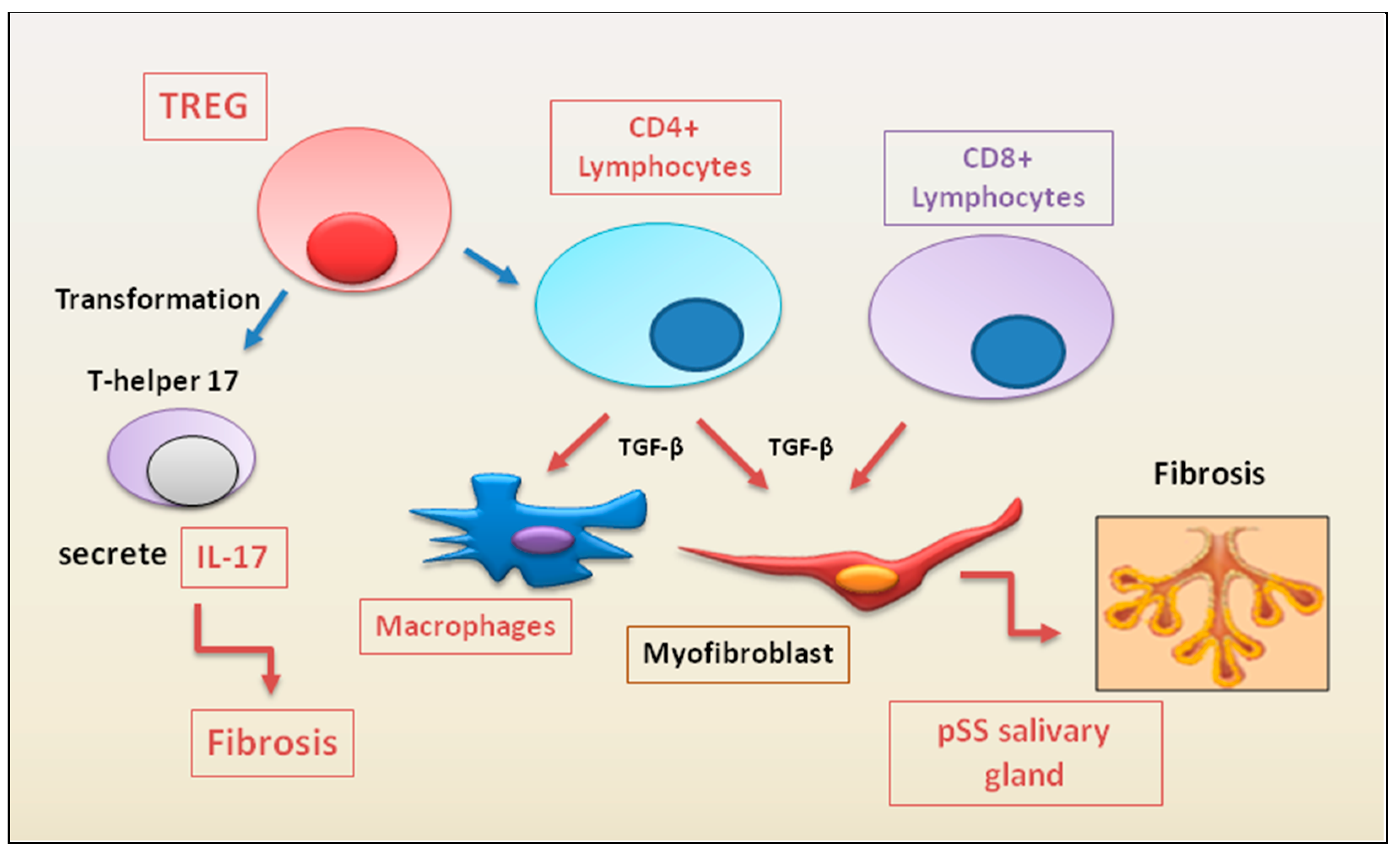 Preprints 72266 g002