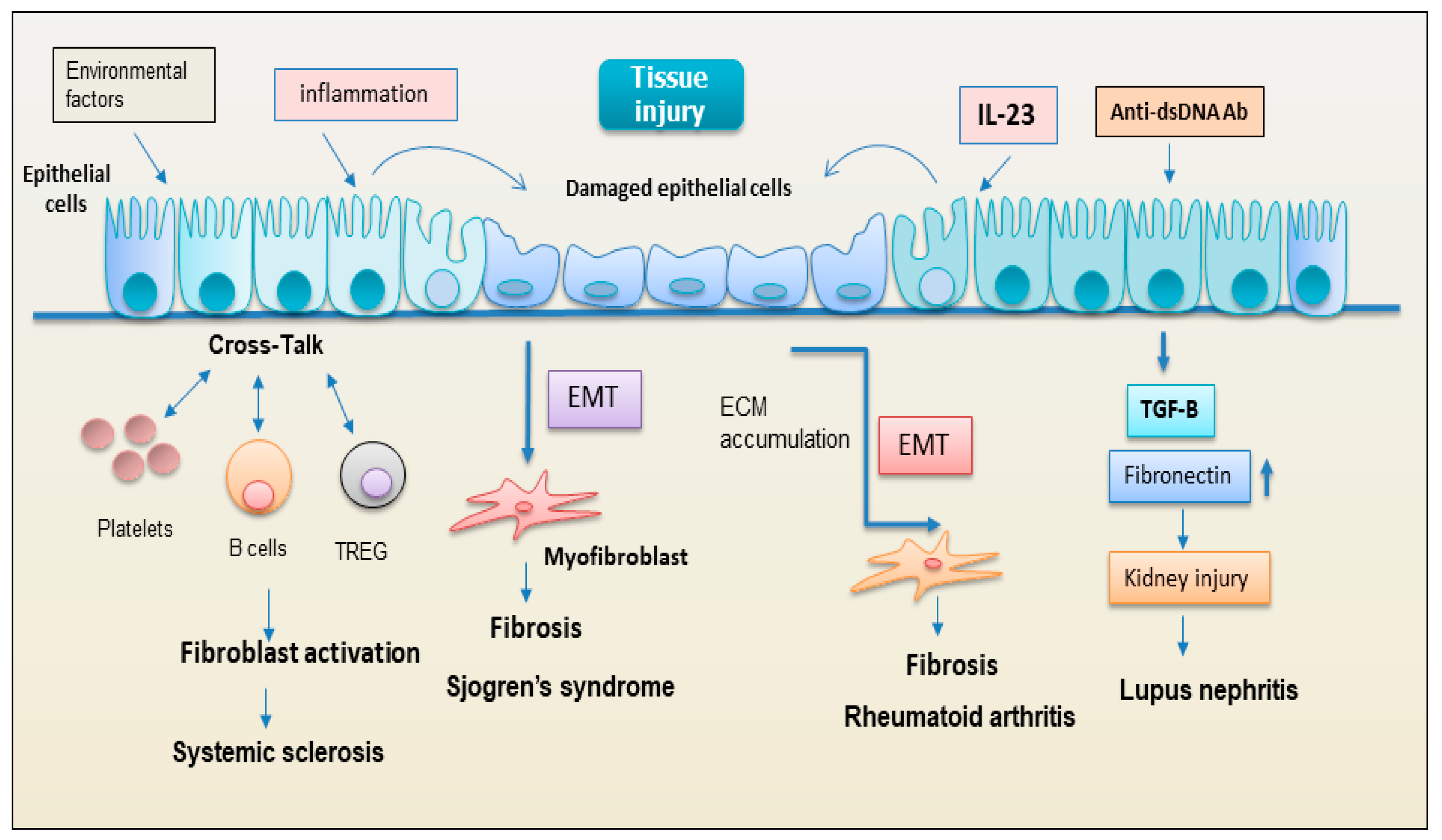 Preprints 72266 g004