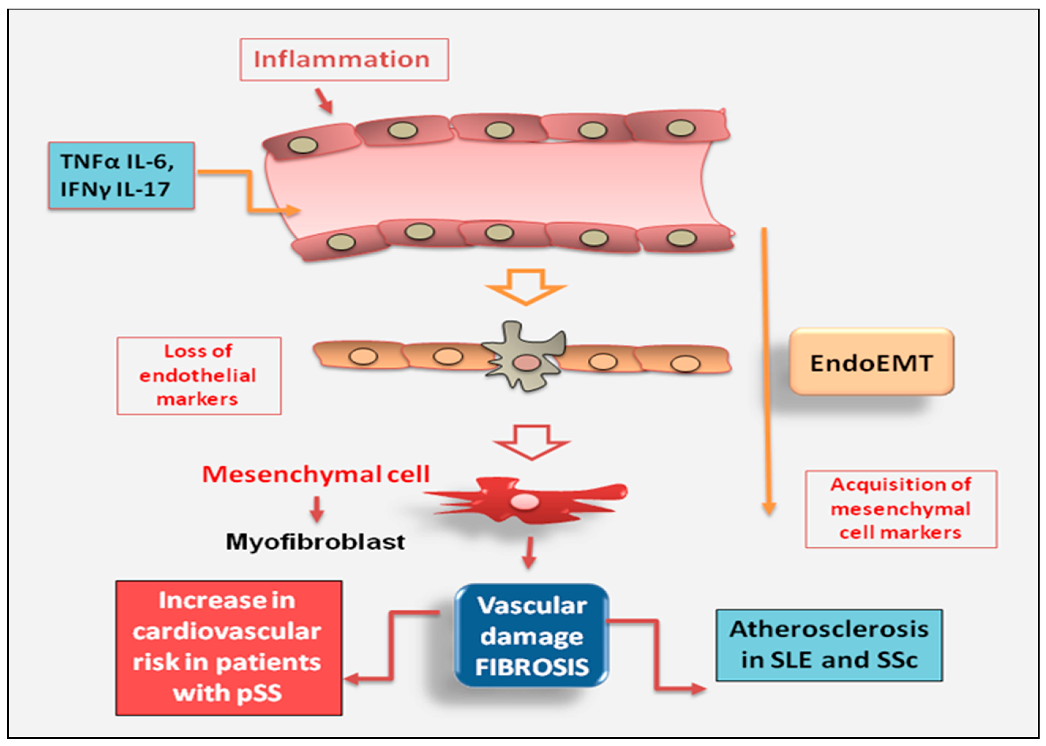 Preprints 72266 g005