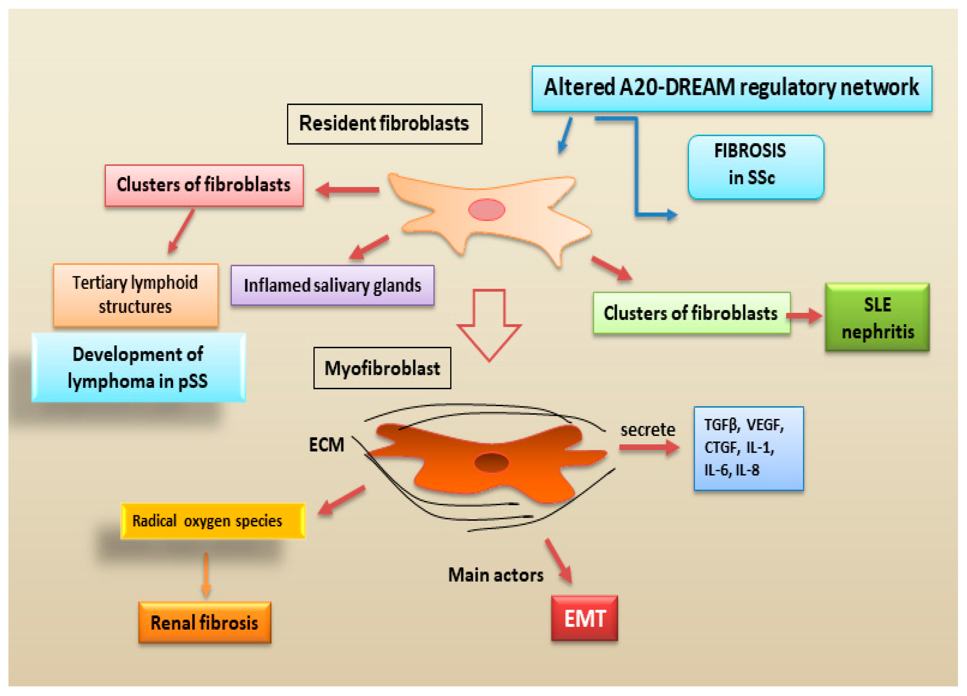 Preprints 72266 g006