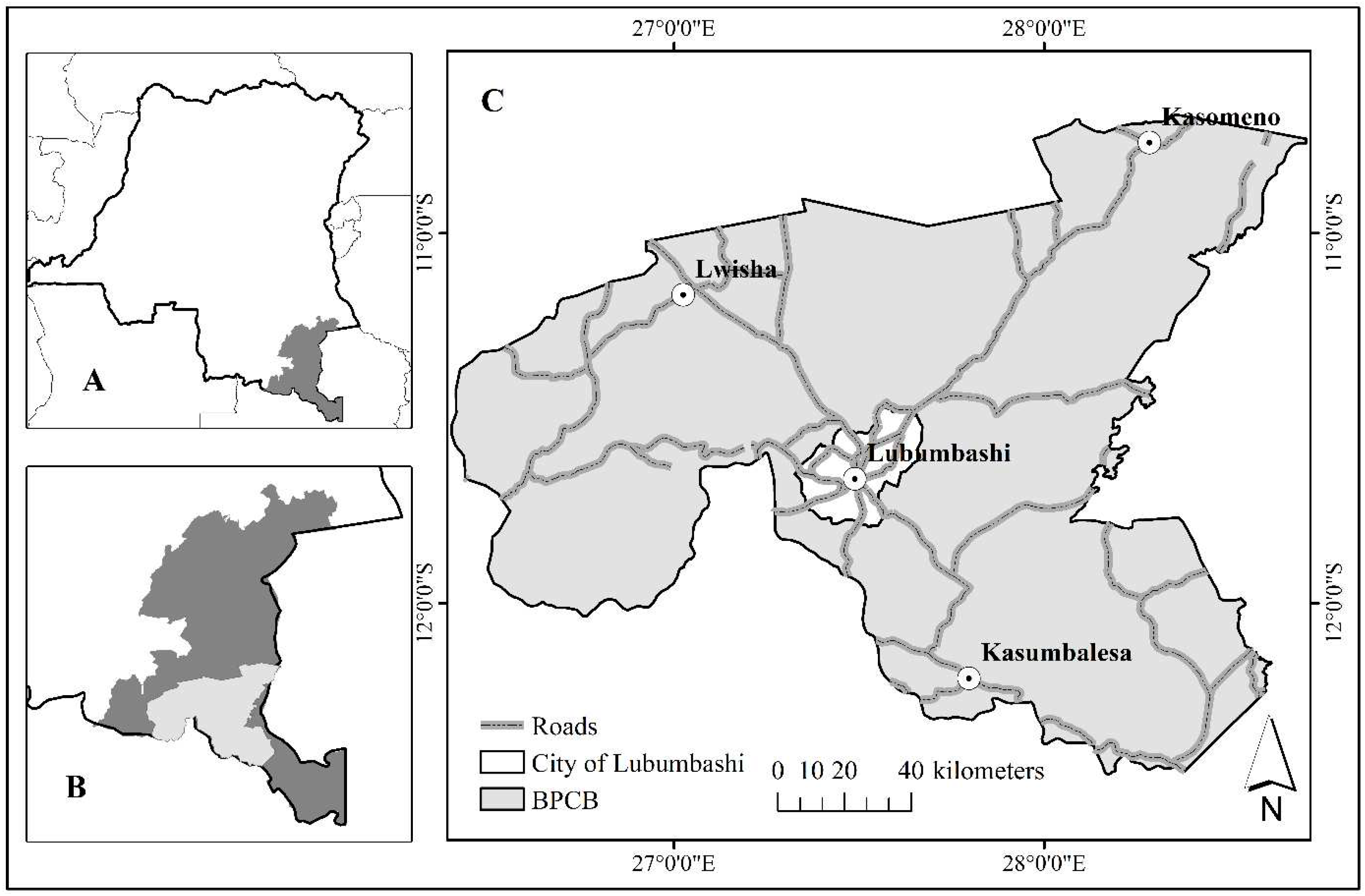 Preprints 90966 g001