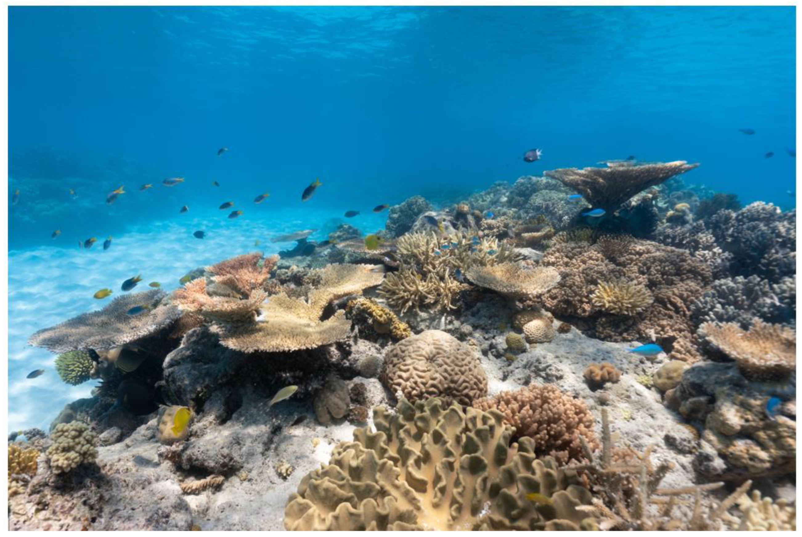 Preprints 146058 g001