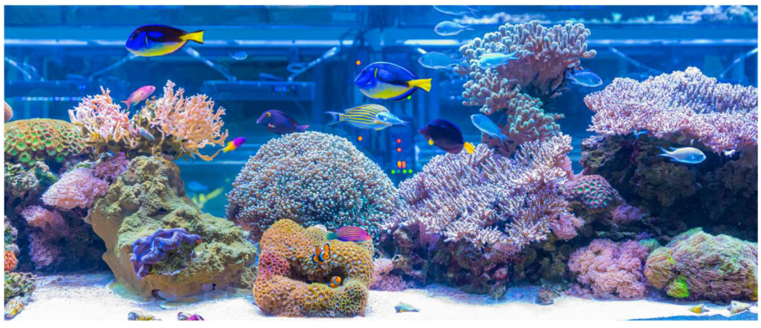 Preprints 146058 g002