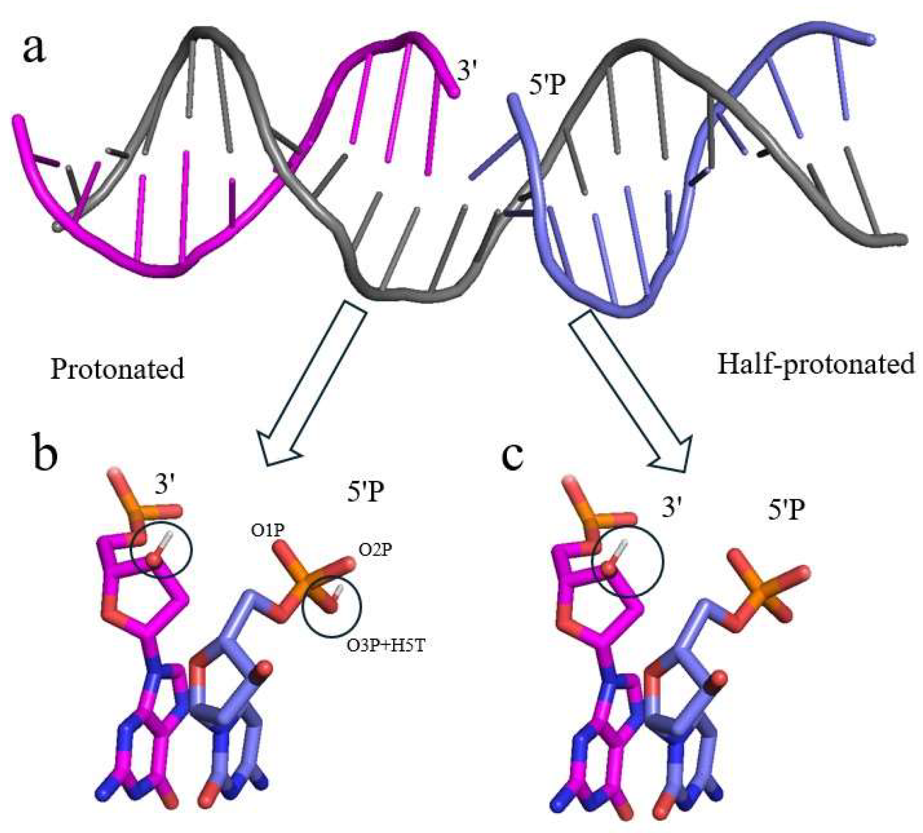 Preprints 137626 g001