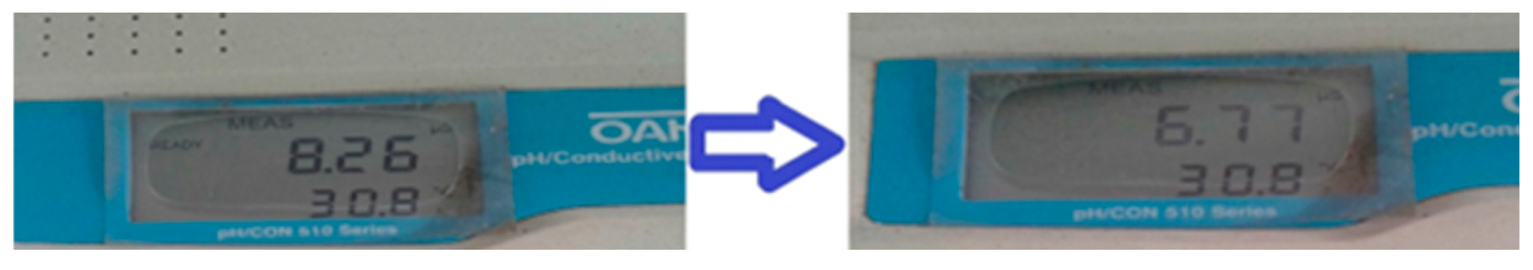 Preprints 210986 g008