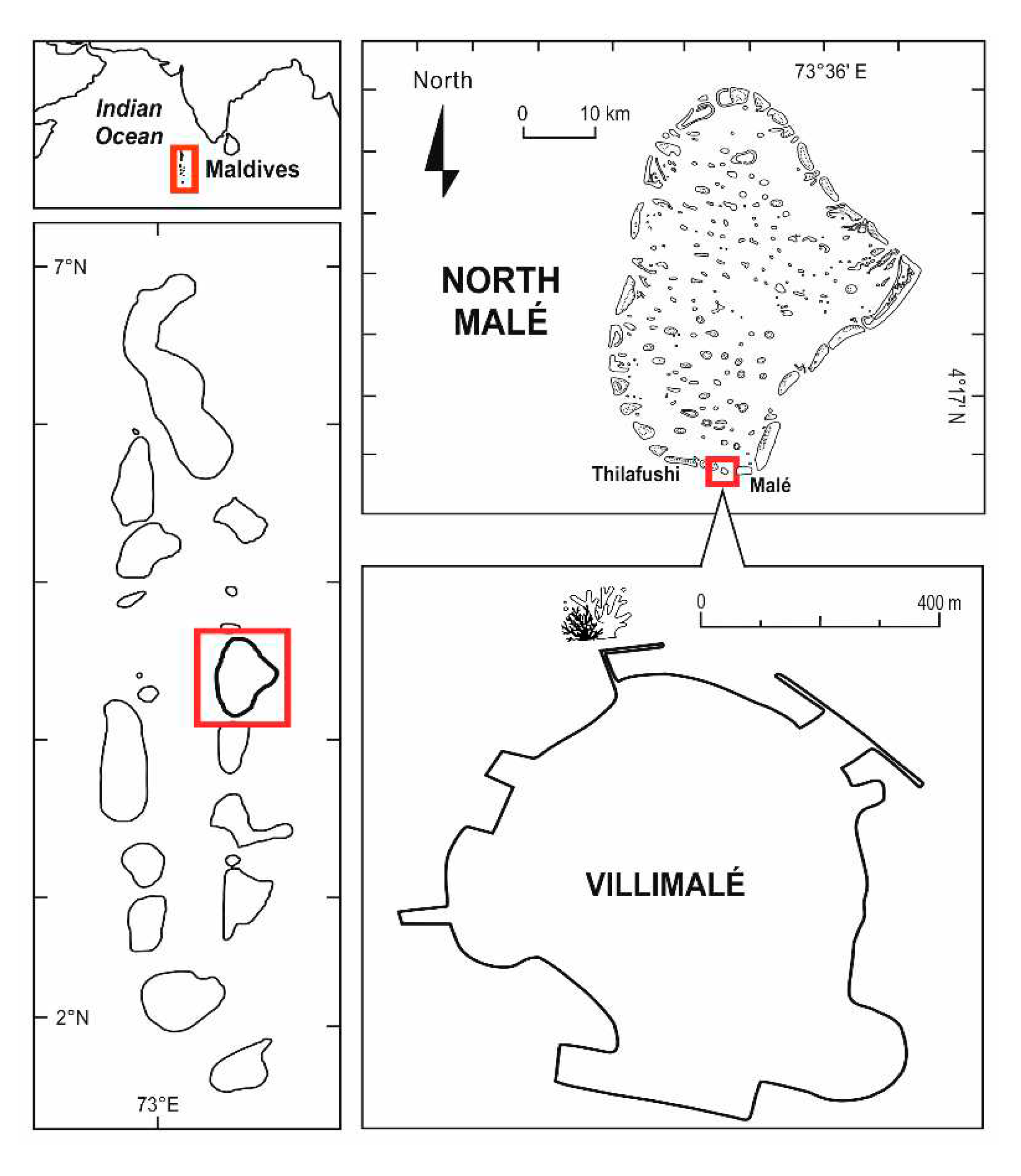 Preprints 82580 g001