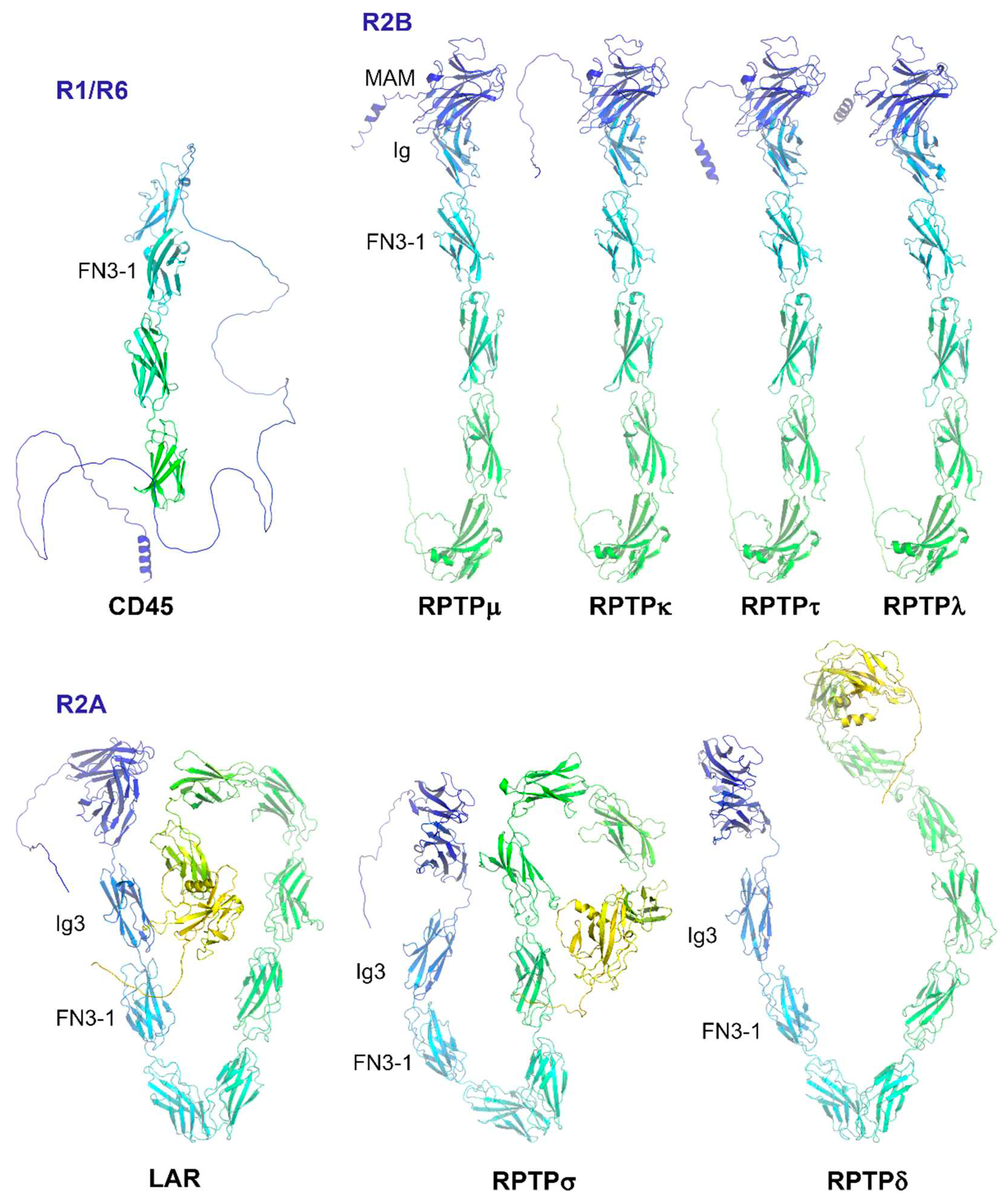 Preprints 91205 g002