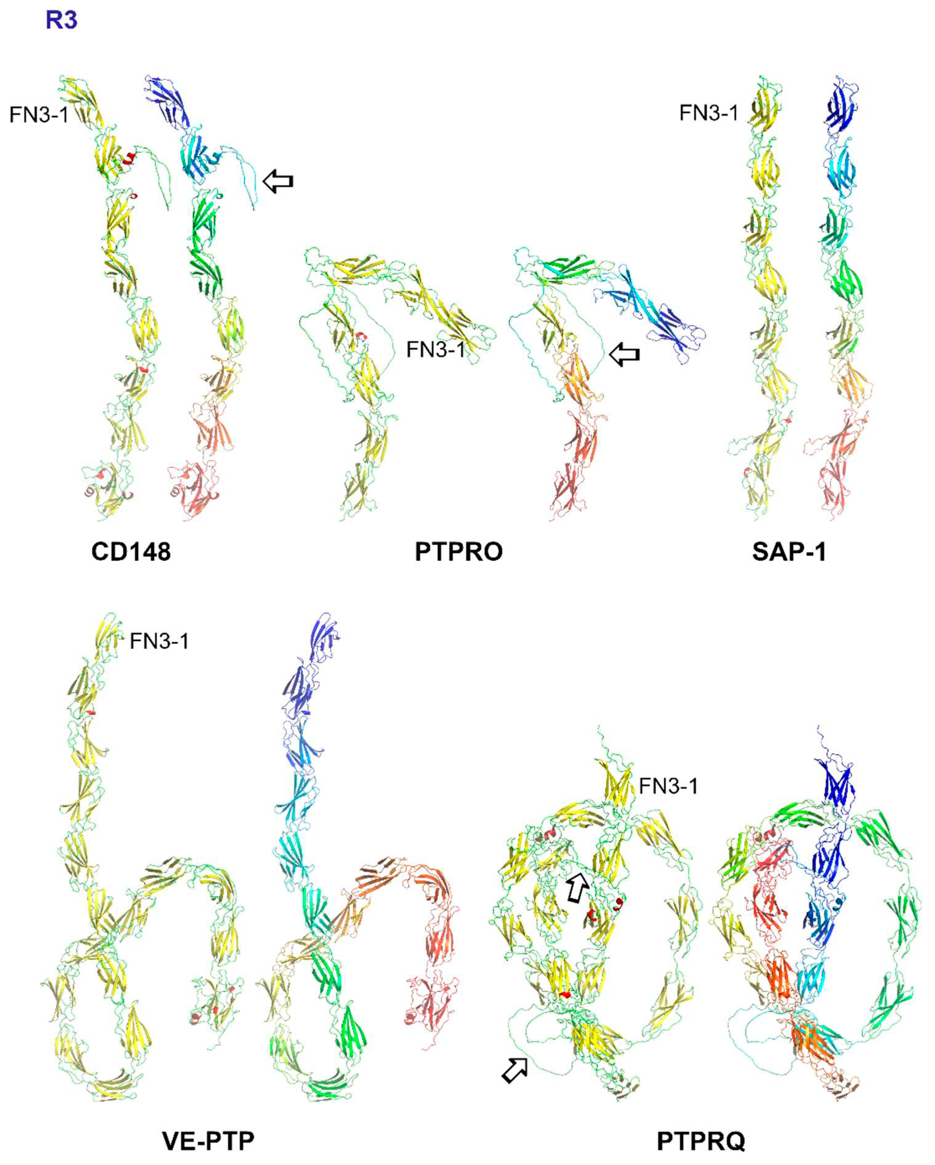 Preprints 91205 g003