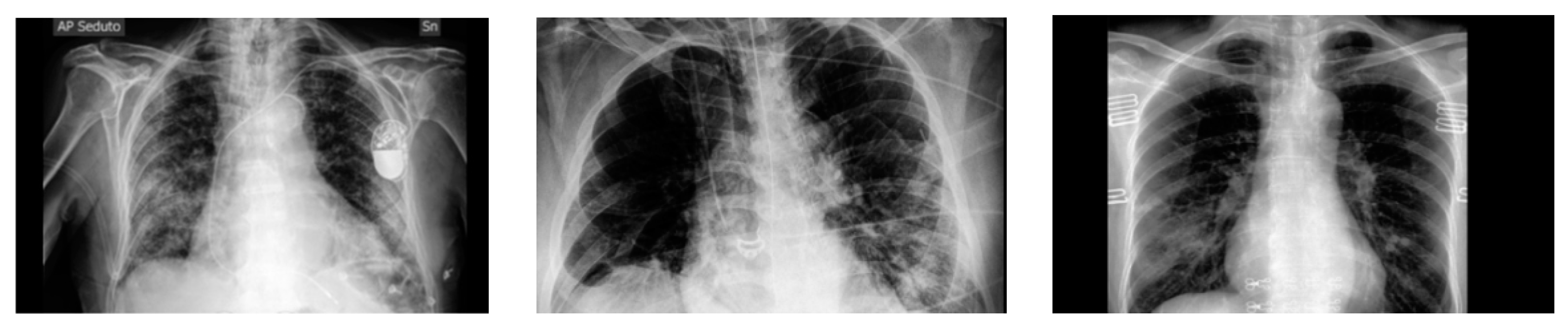 Preprints 139416 g001