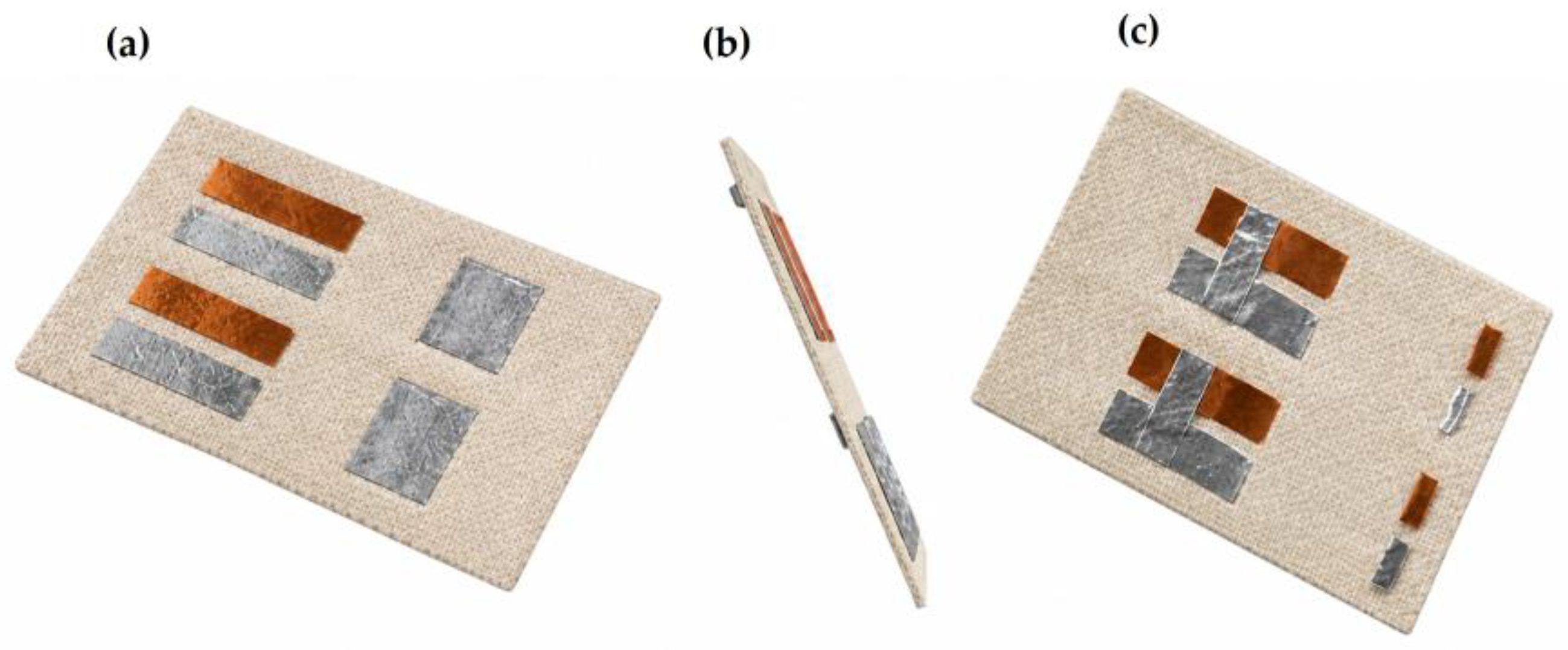Preprints 213168 g002