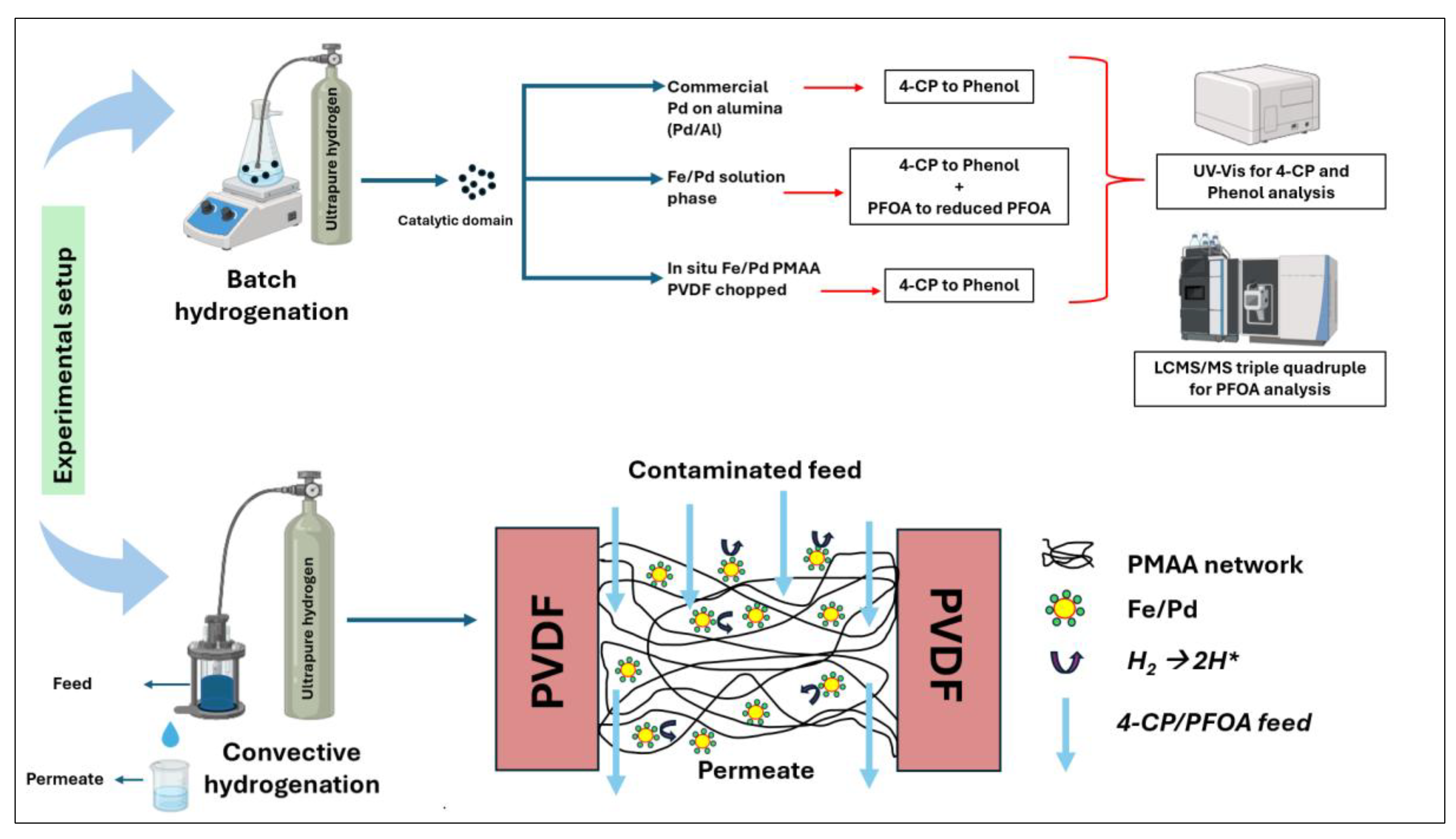 Preprints 188225 g005