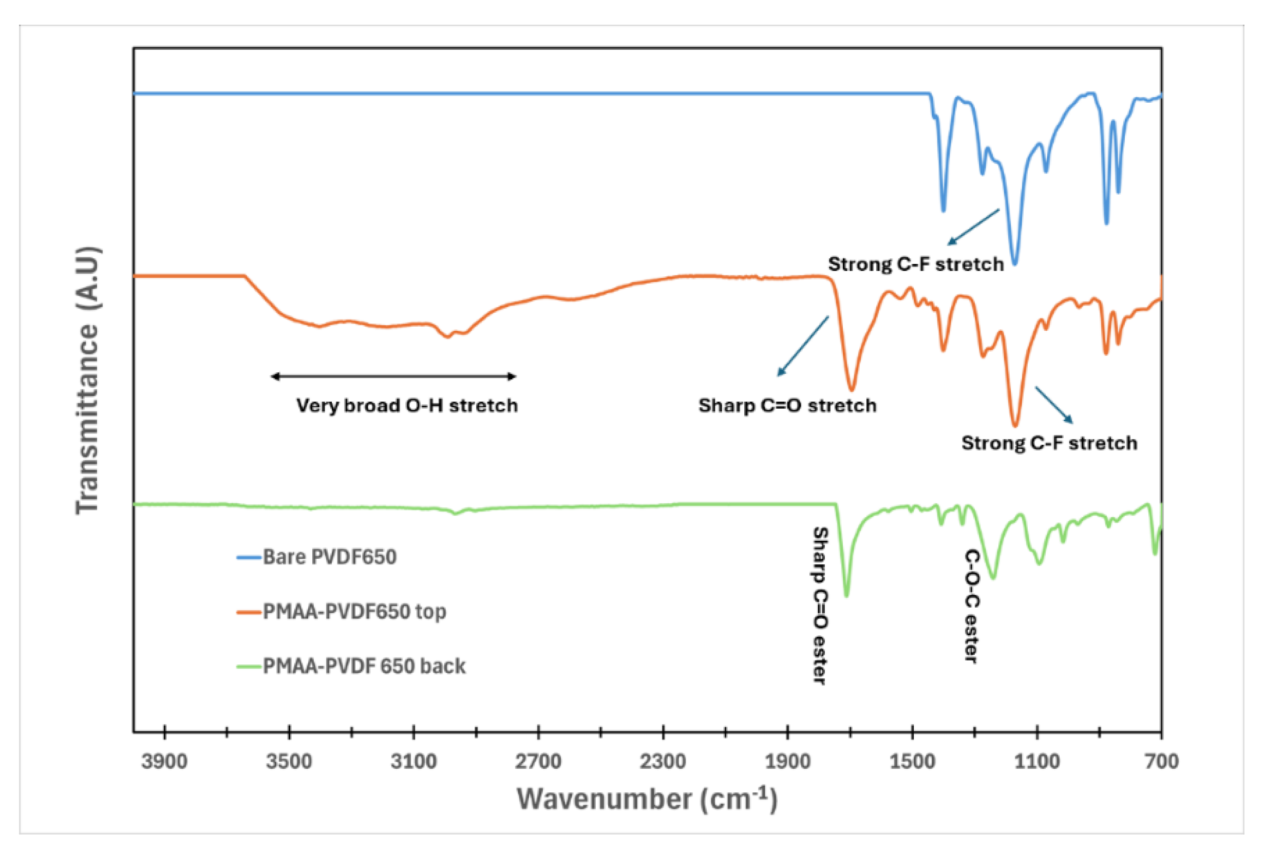 Preprints 188225 g007