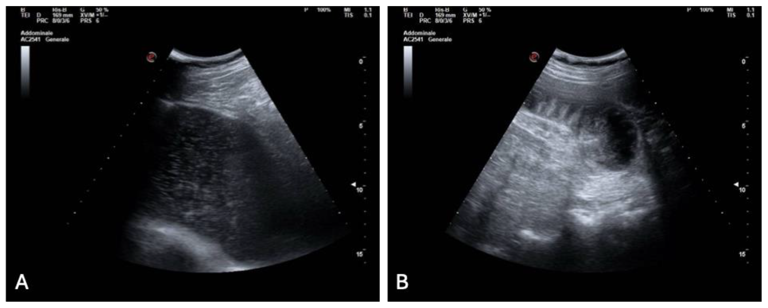 Preprints 185391 g004