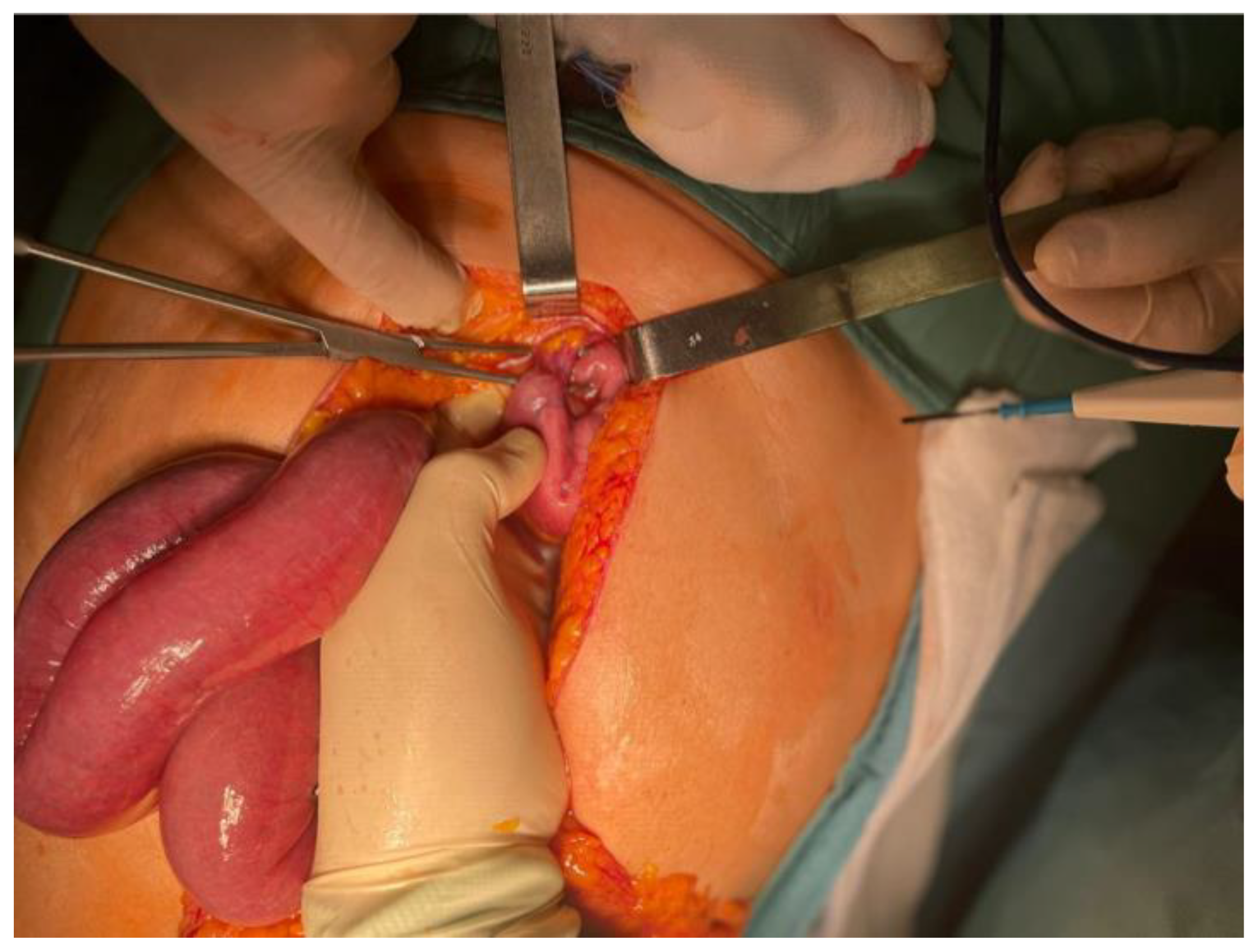 Preprints 185391 g006