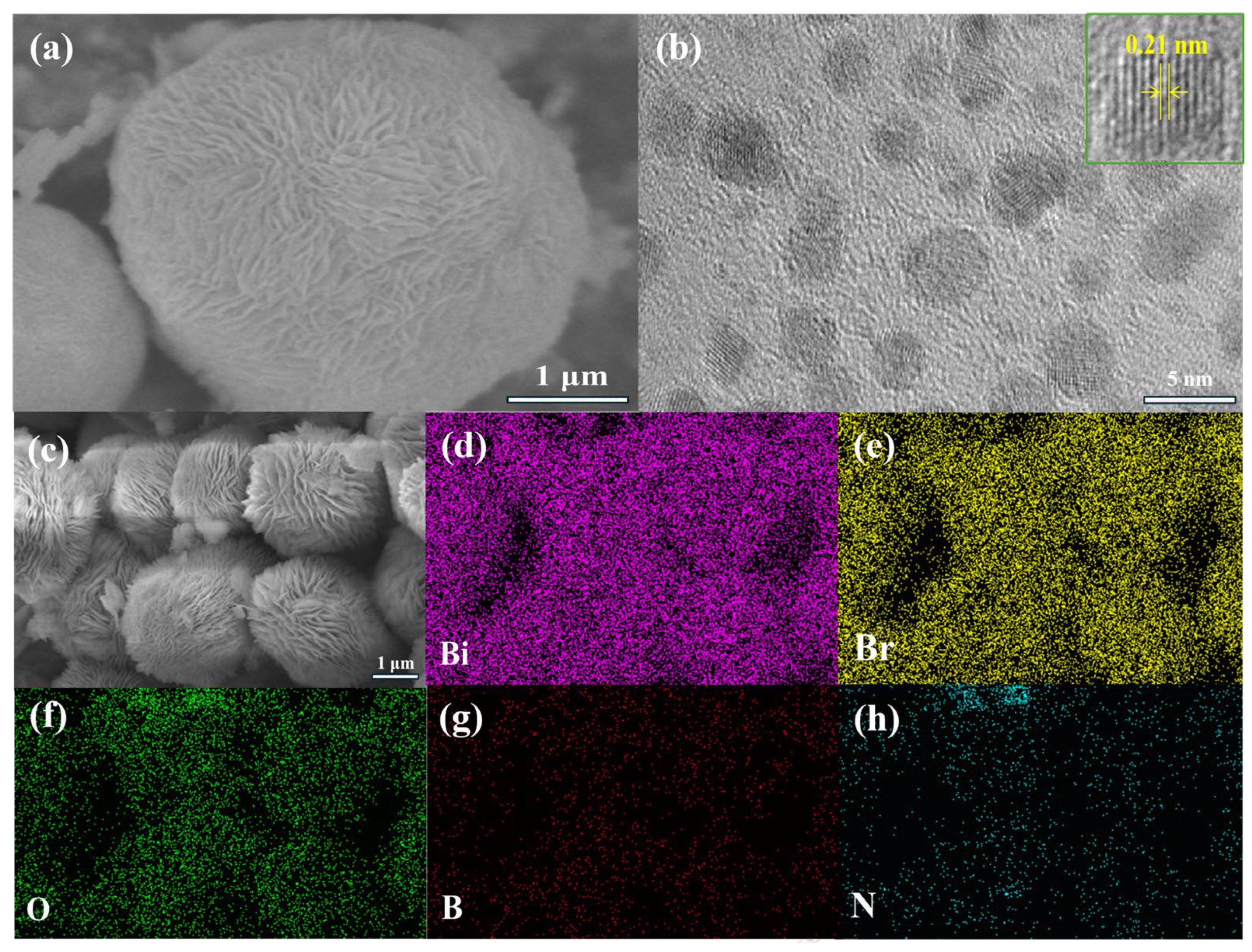 Preprints 169150 g002