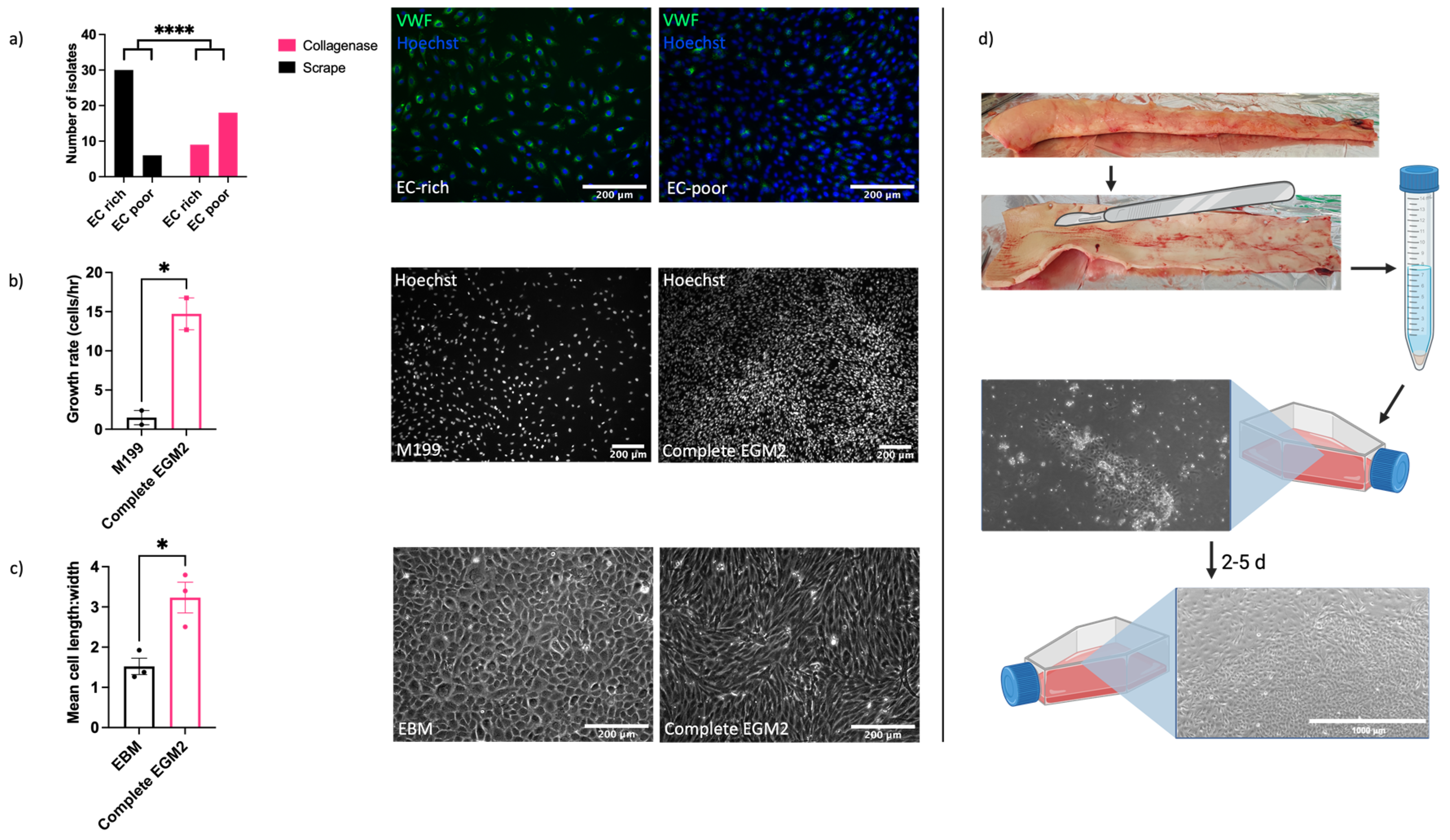 Preprints 86111 g001