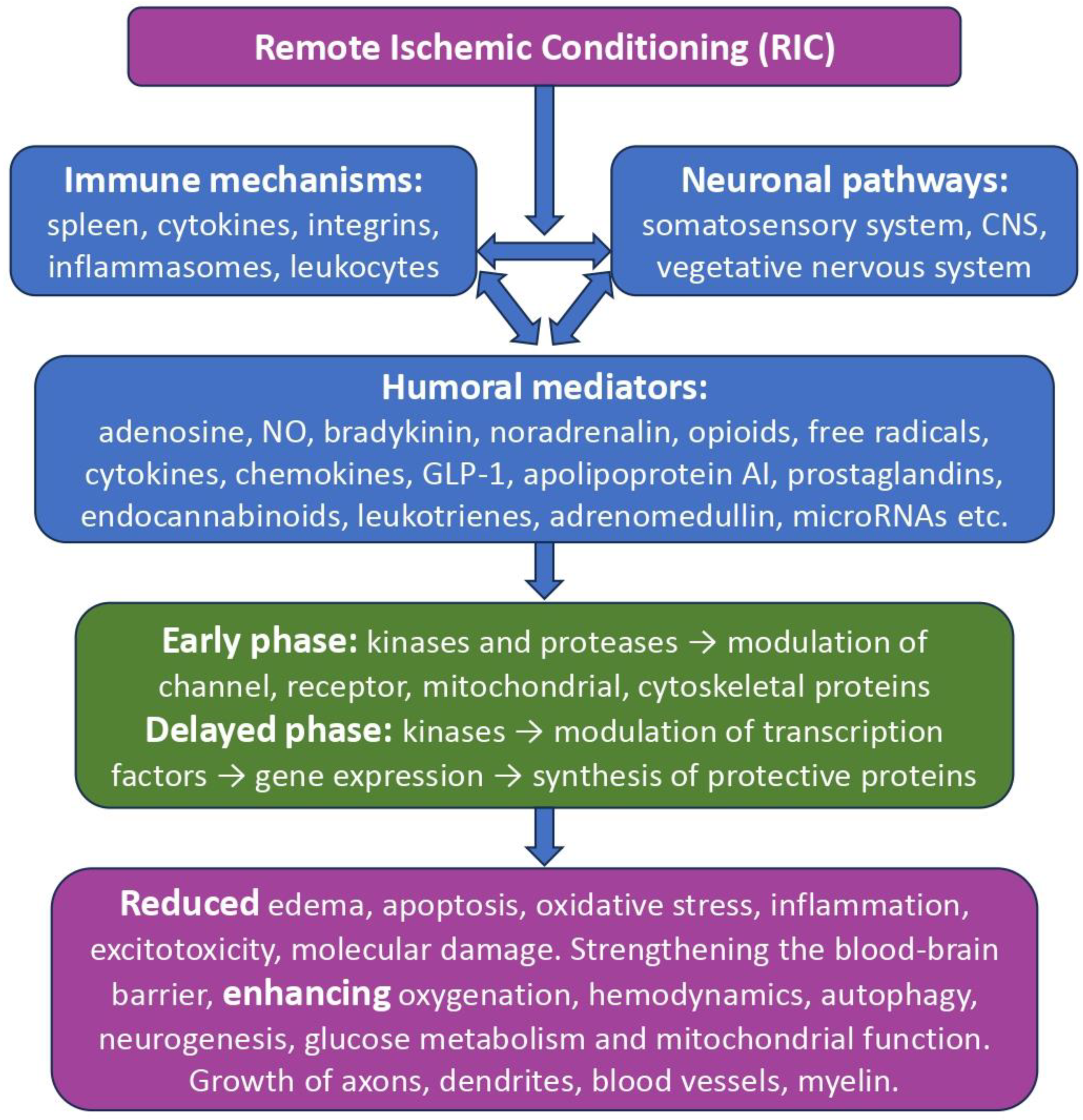 Preprints 88844 g001