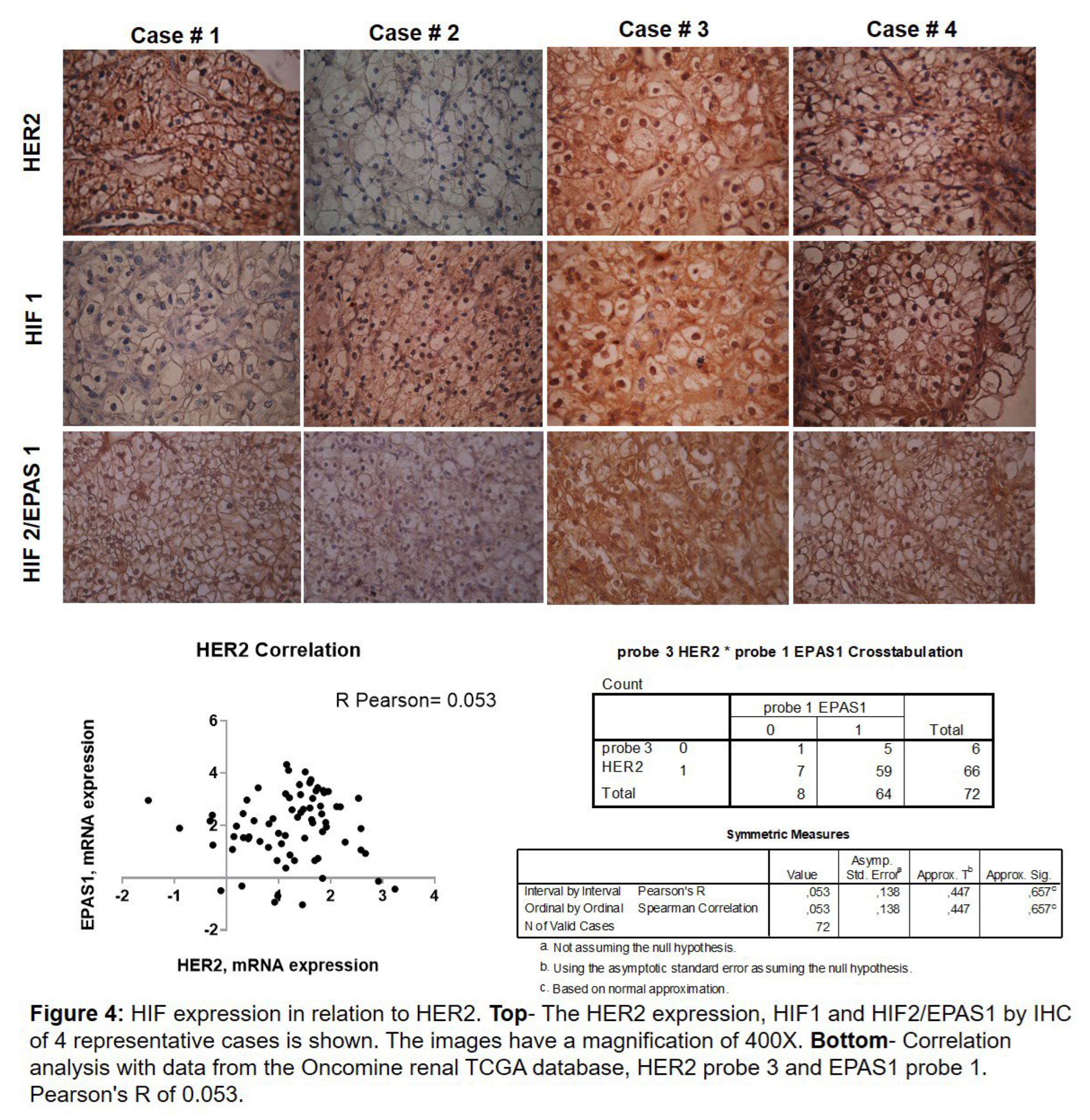 Preprints 180667 i004