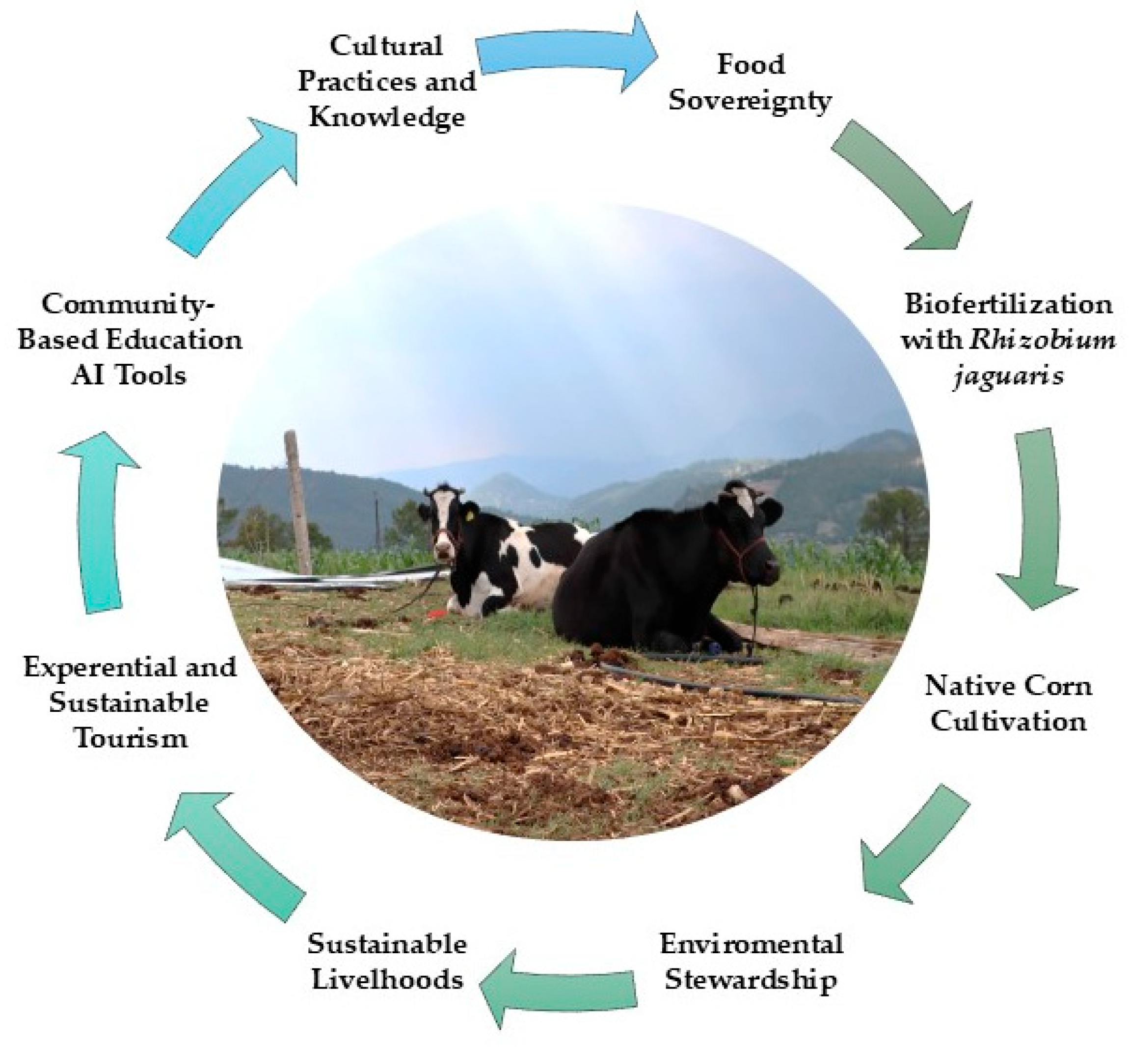 Preprints 175931 g002