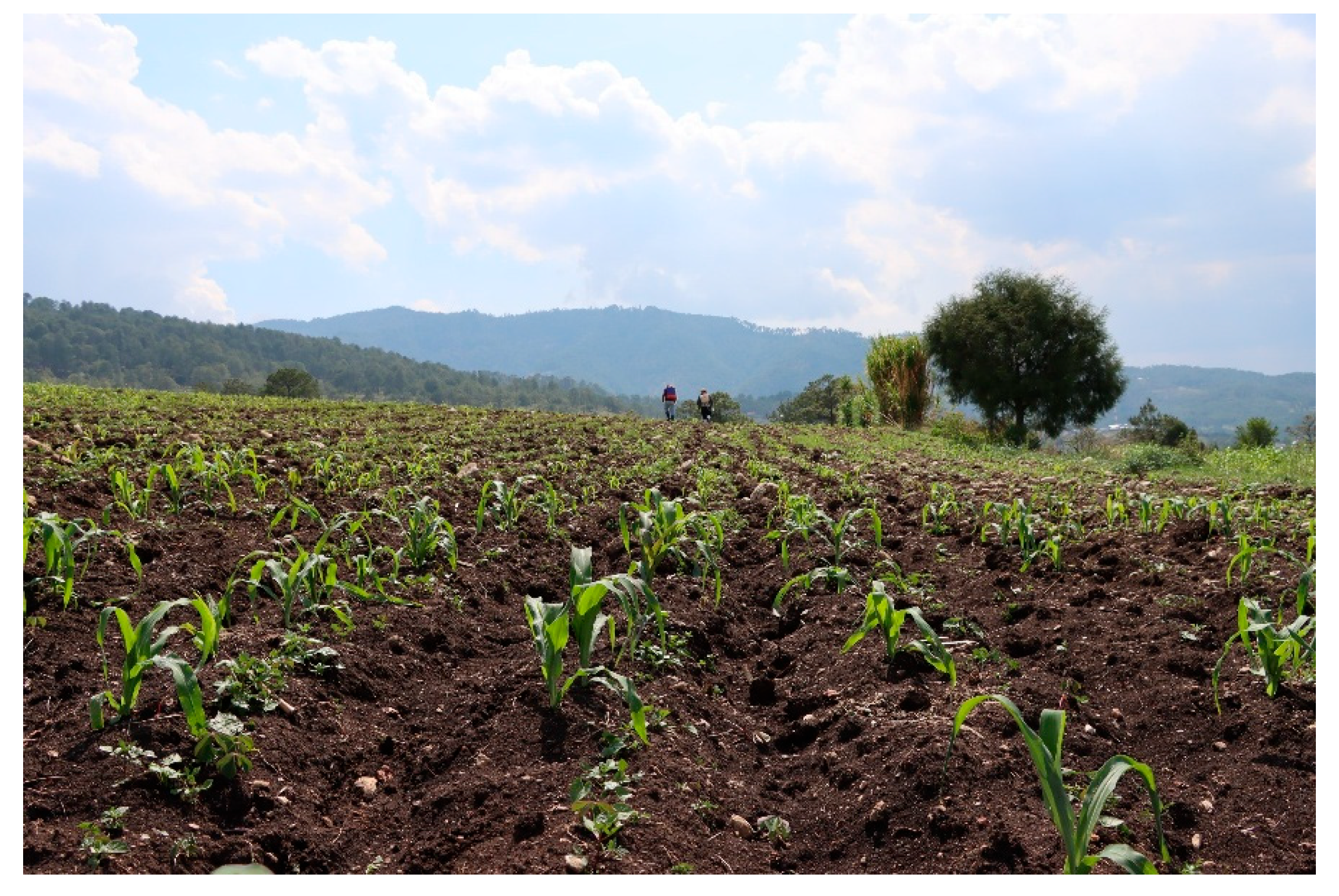 Preprints 175931 g0a1