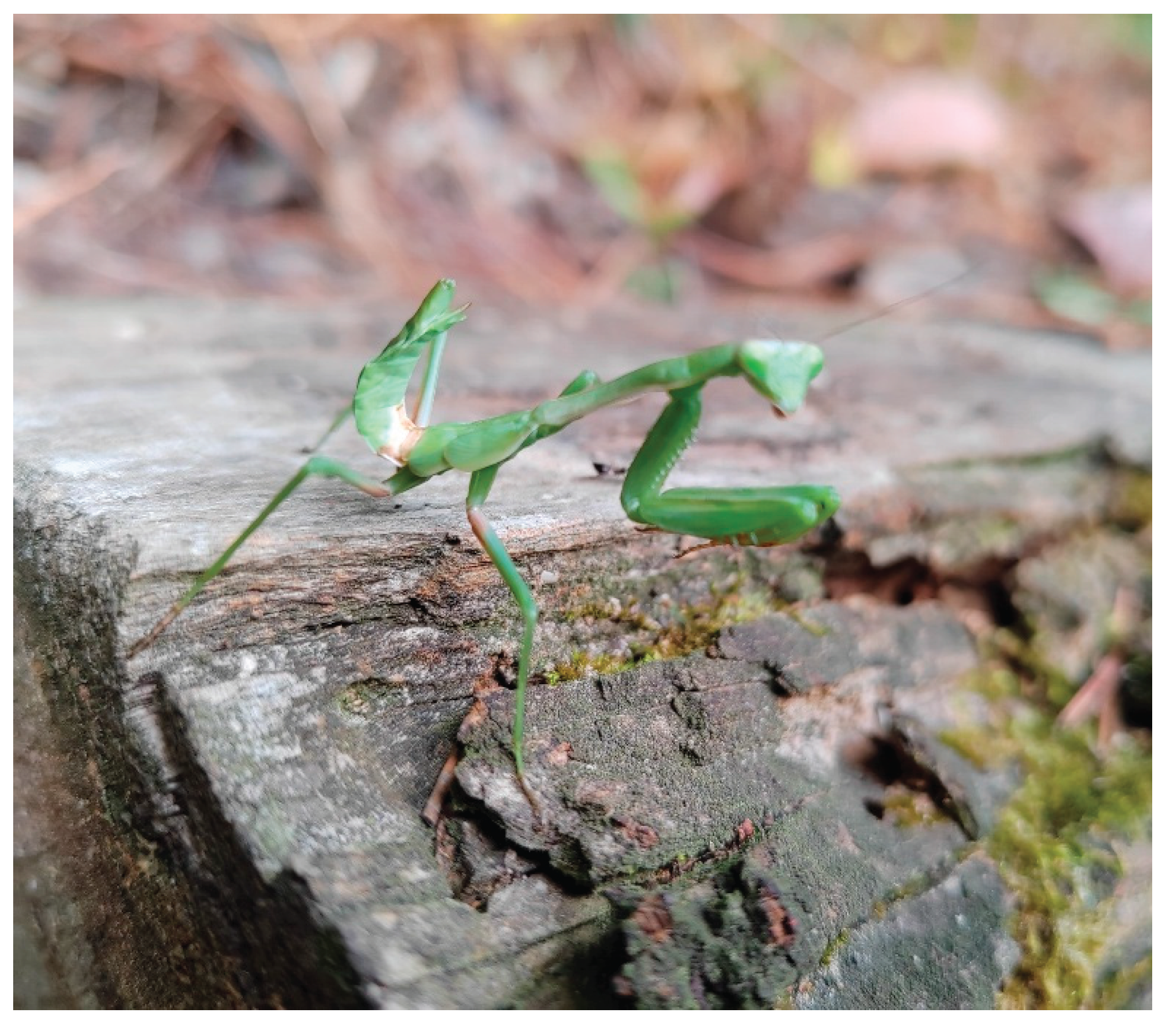 Preprints 175931 g0a3