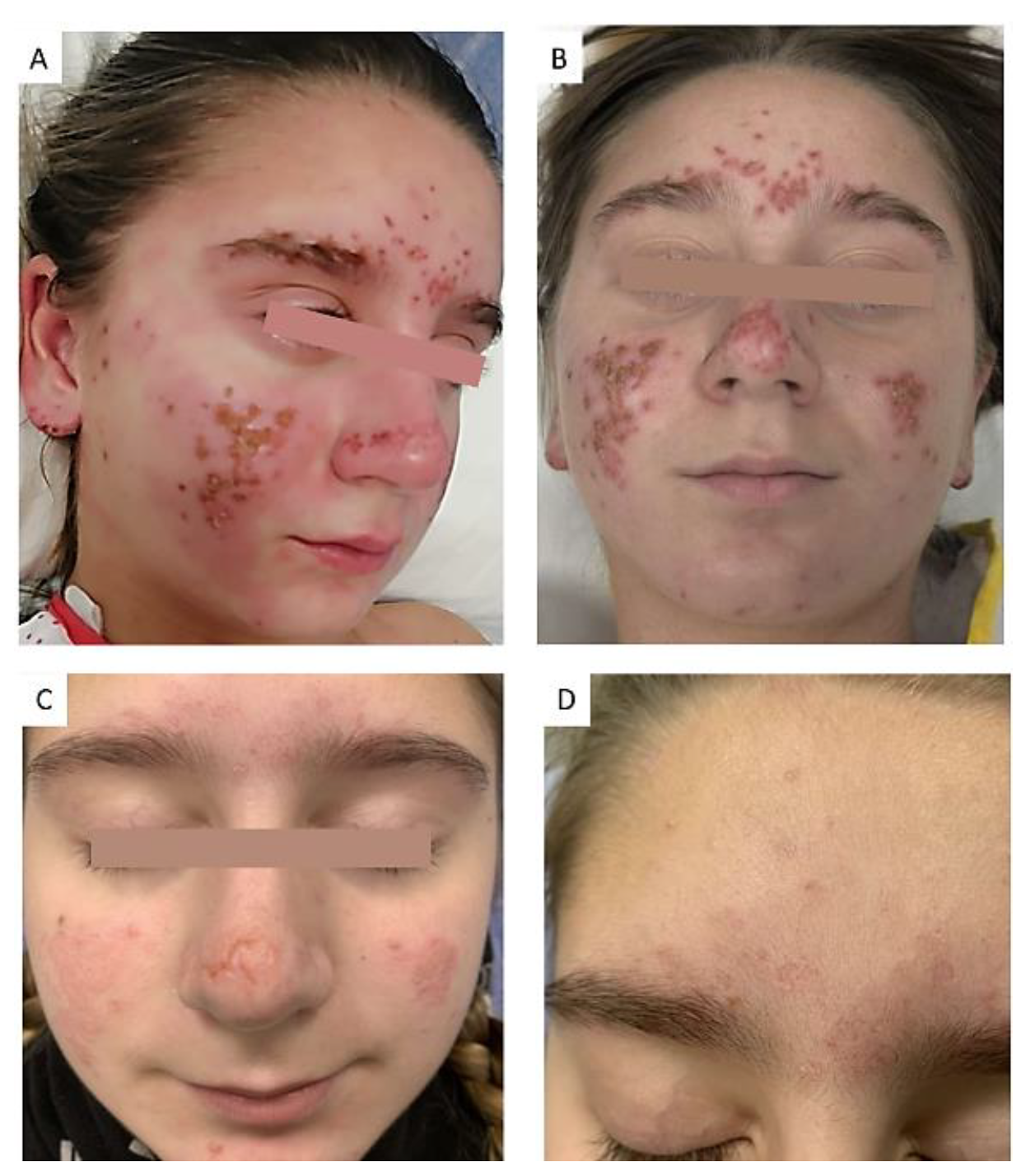 Preprints 145032 g001