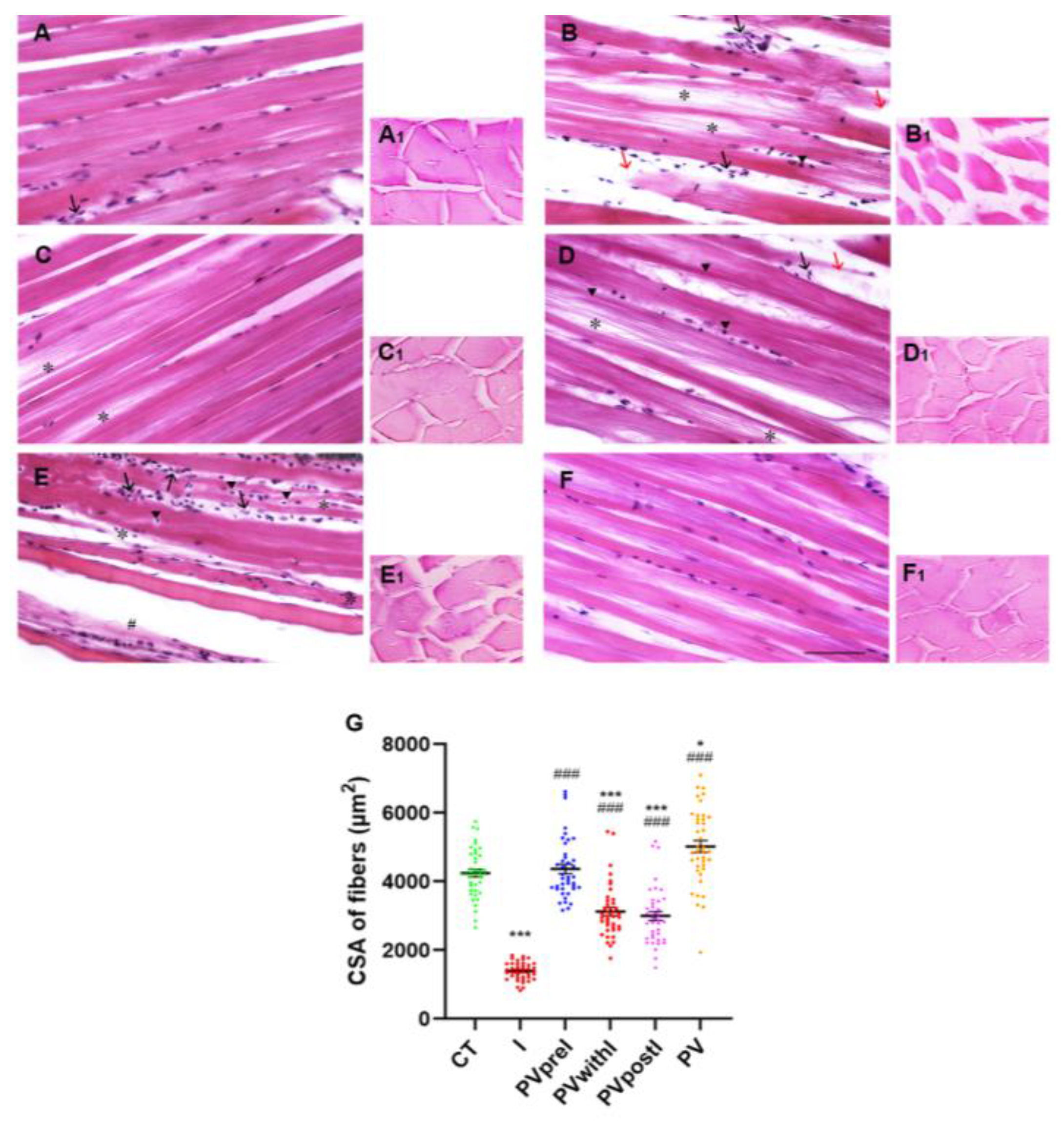 Preprints 173279 g001