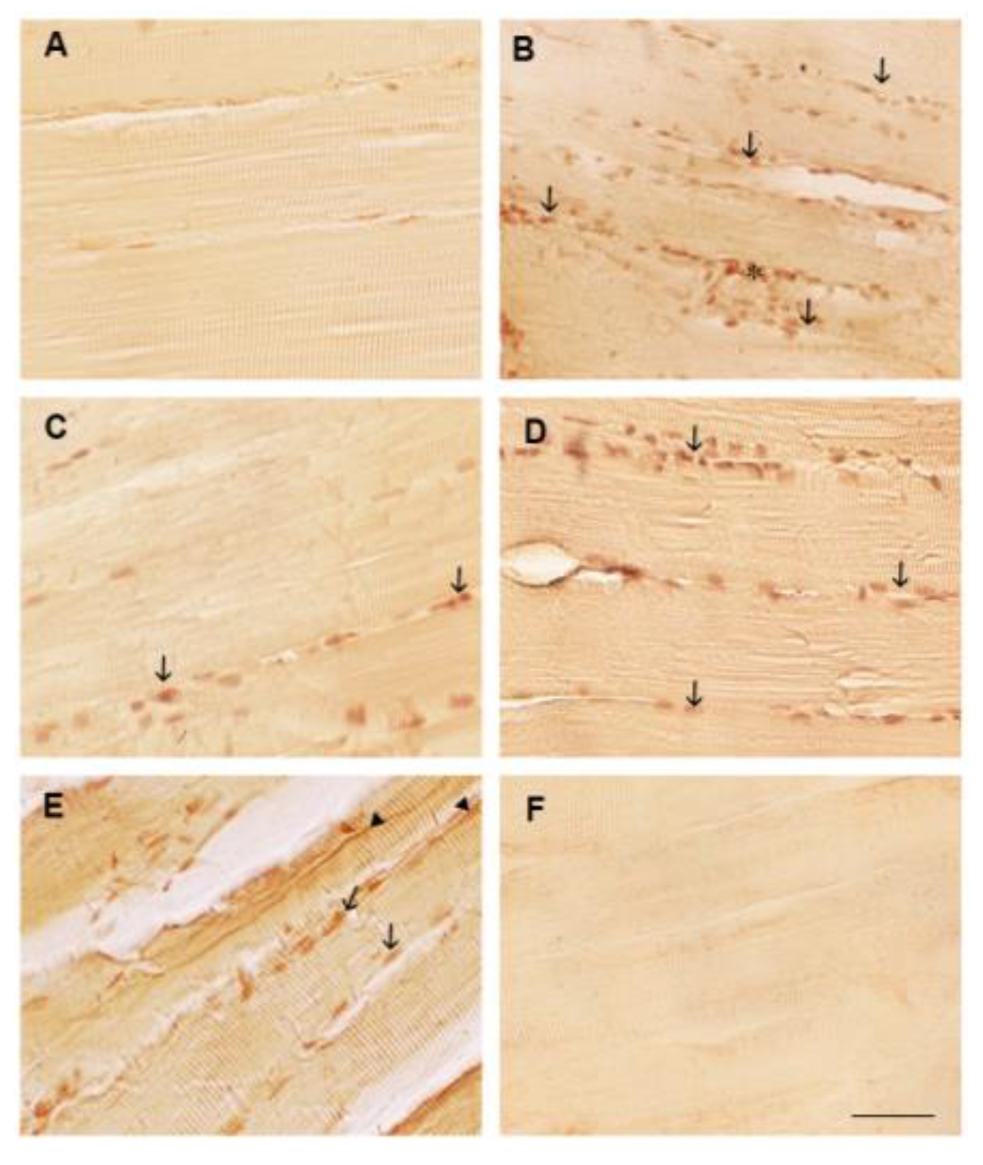 Preprints 173279 g002