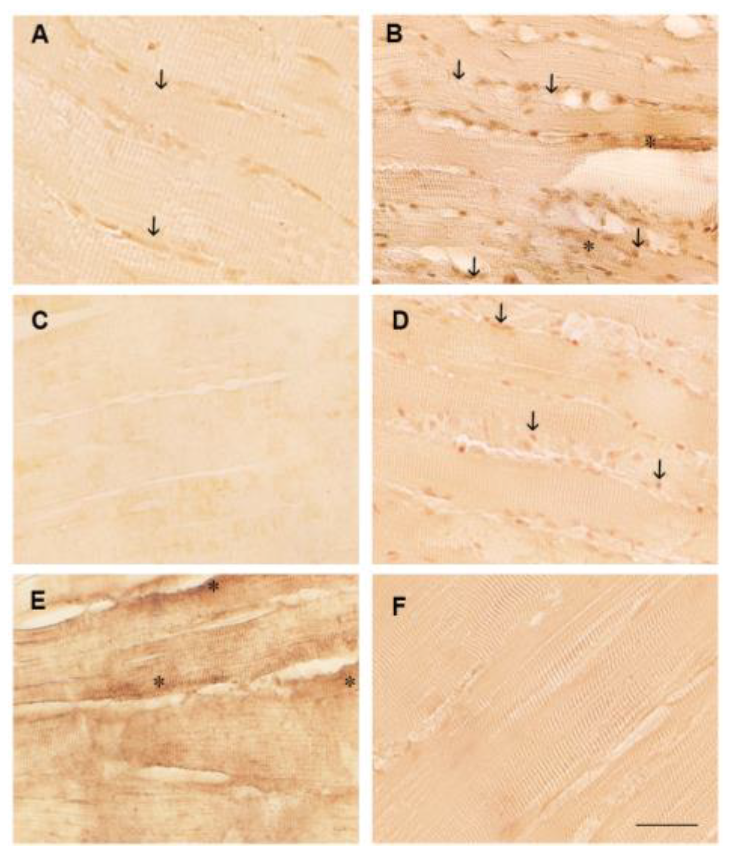 Preprints 173279 g003