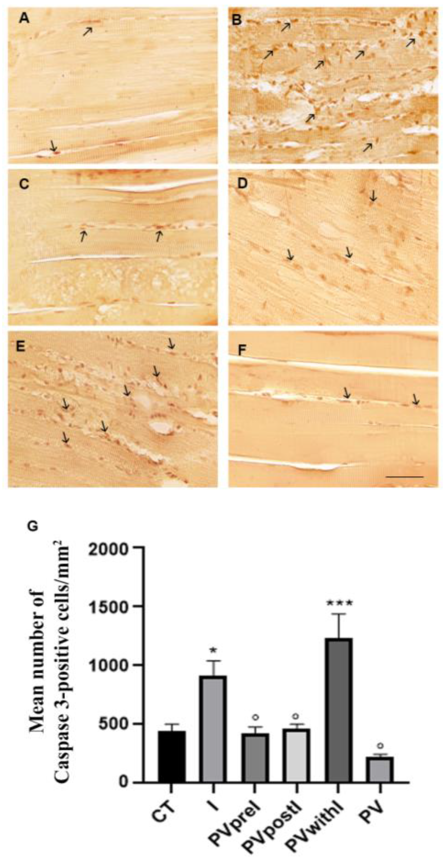 Preprints 173279 g004