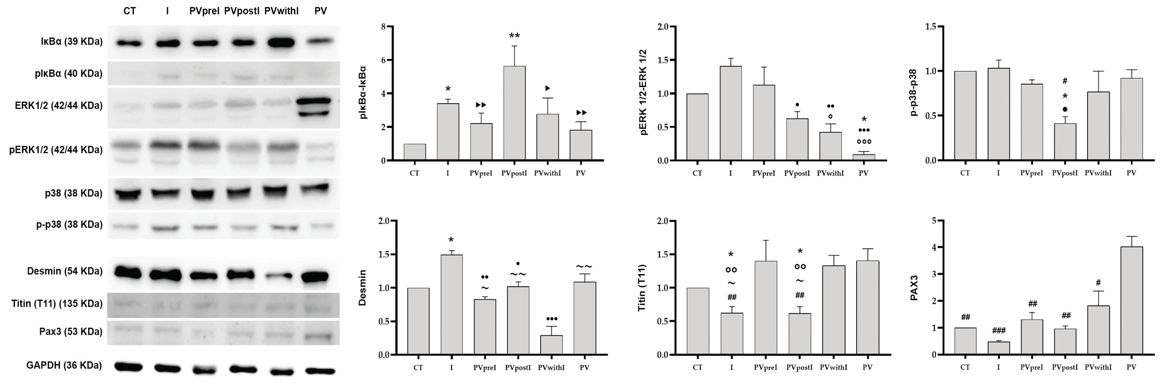 Preprints 173279 g005